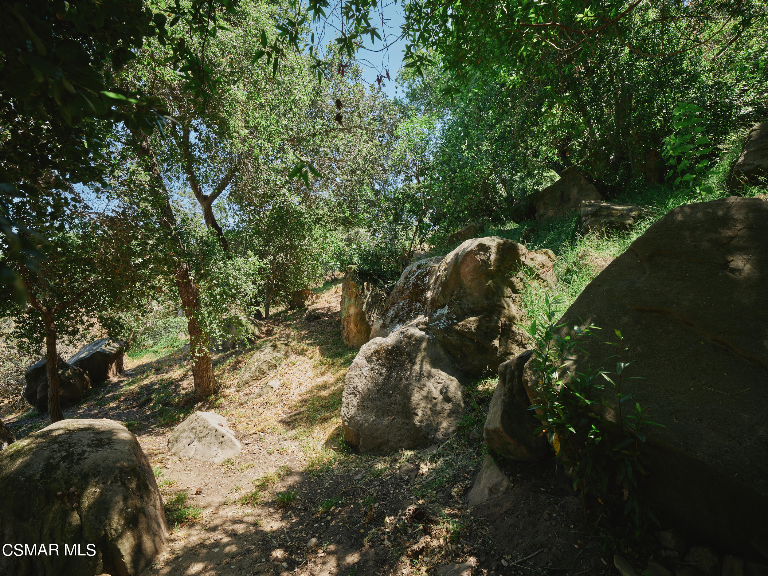 19833 Observation Drive Topanga, CA 90290 - Photo 55 of 75 a view of a yard