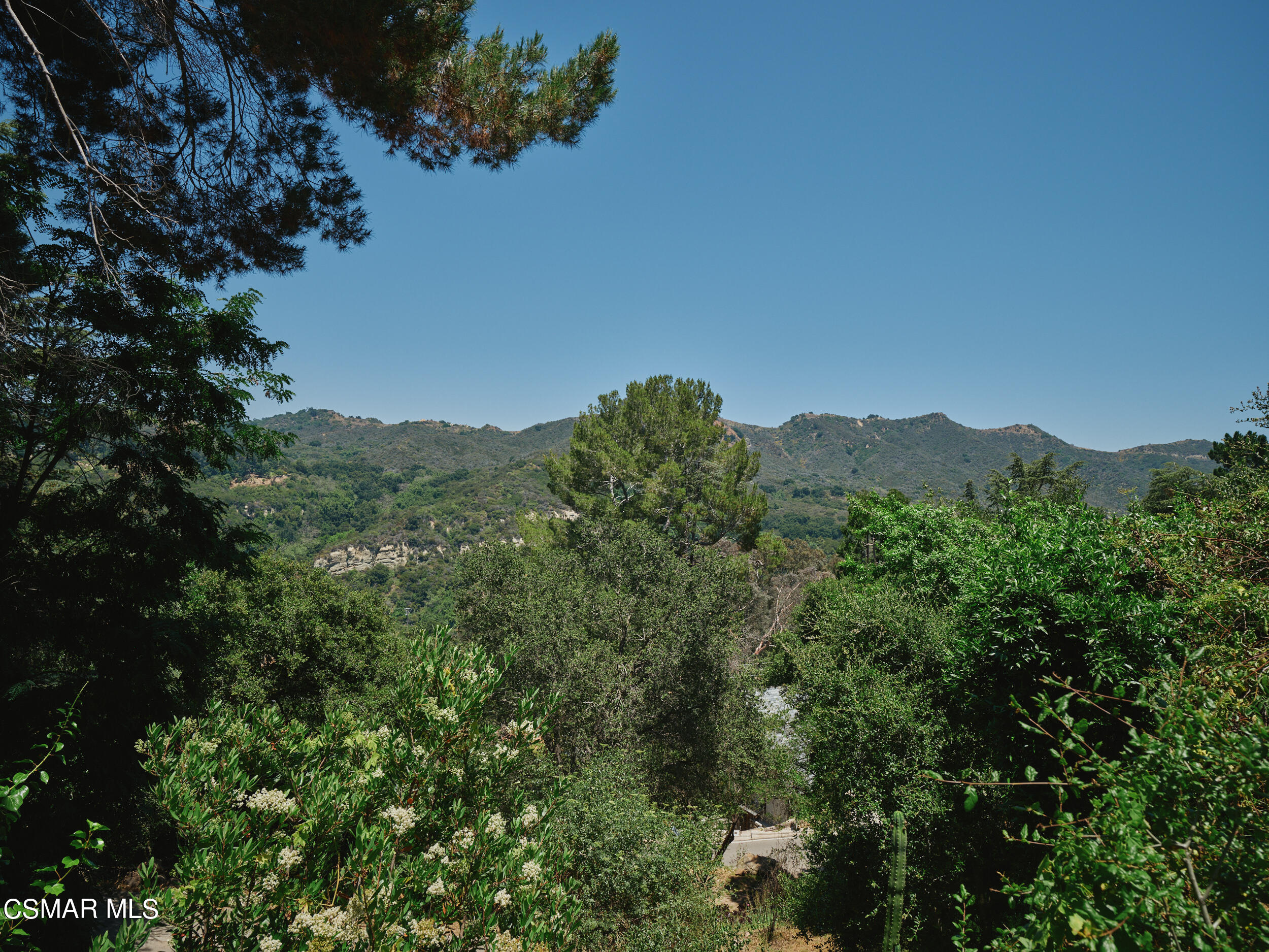 19833 Observation Drive Topanga, CA 90290 - Photo 62 of 75 _DSF2750