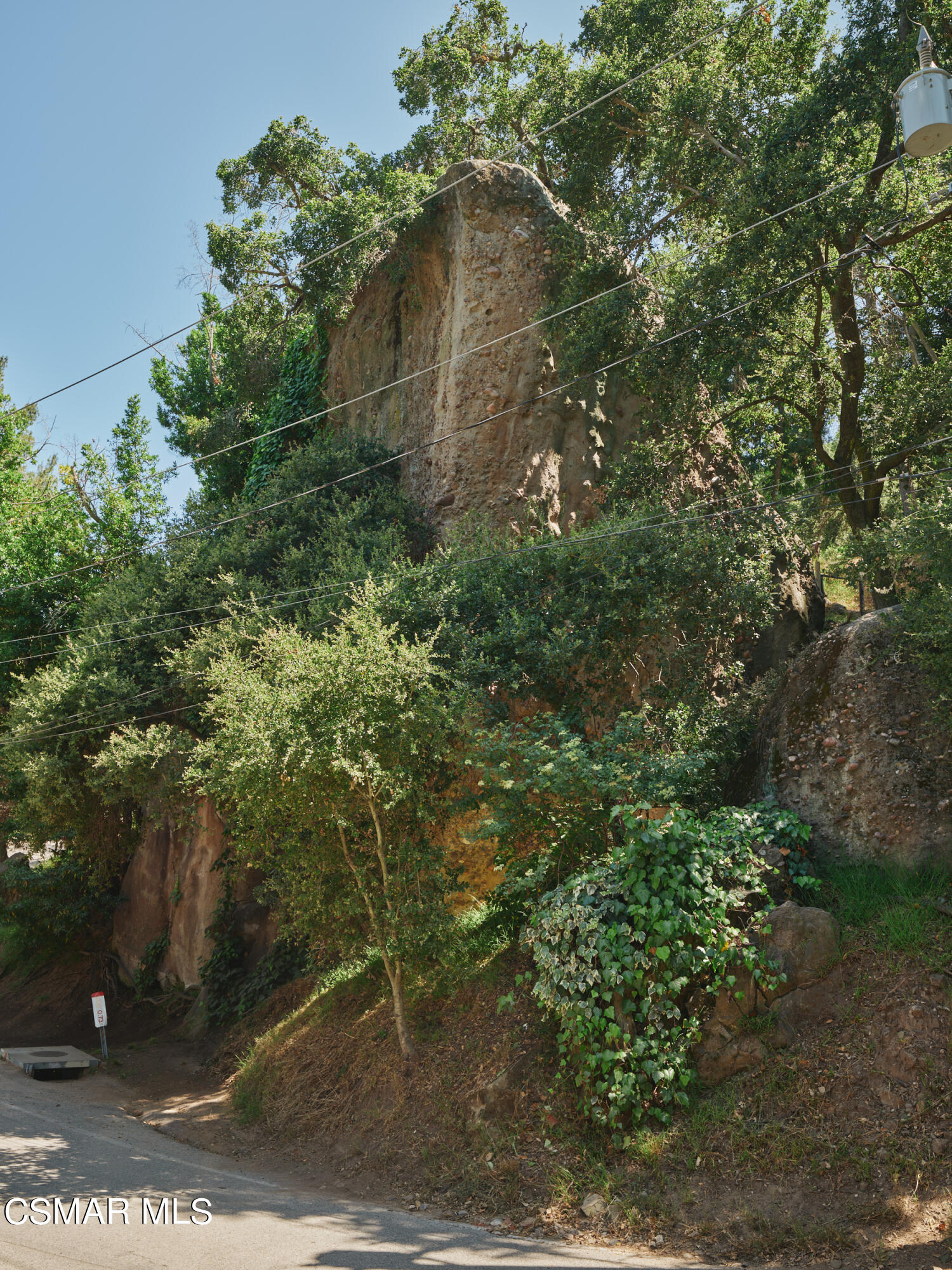 19833 Observation Drive Topanga, CA 90290 - Photo 74 of 75 a view of a yard