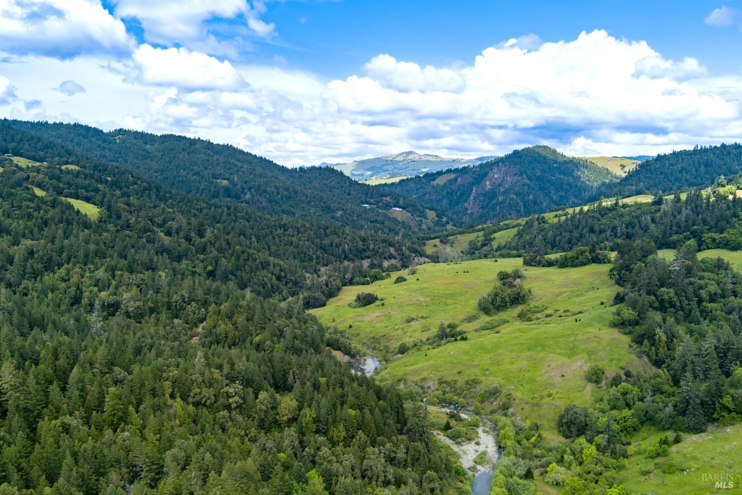 -0 Reed Mountain Road Bankston, CA 35542 - Photo 10 of 14