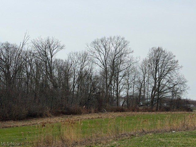 South Madison Road Madison, OH 44057 - Photo 3 of 12