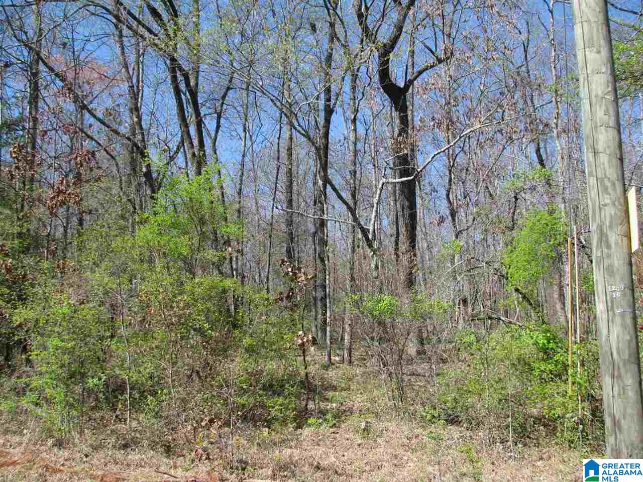1495 Lynch Lake Road, Unit 6A Odenville, AL 35120 - Photo 1 of 2