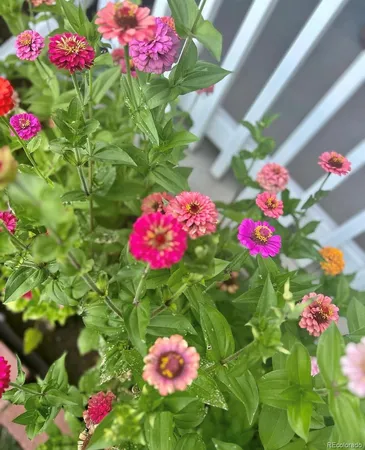 $595,000 | 4759 South Hawthorne Street, Englewood, CO 80110