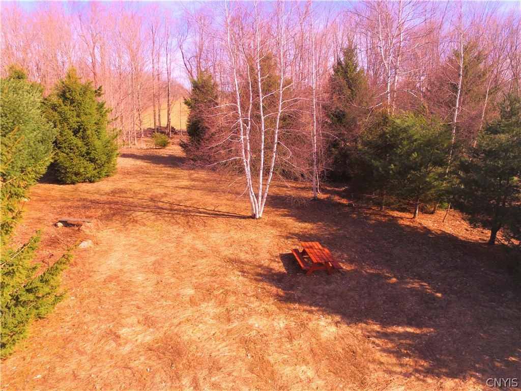 0 Hall Road Munnsville, NY 13409 - Photo 1 of 1 Gallery Image 1