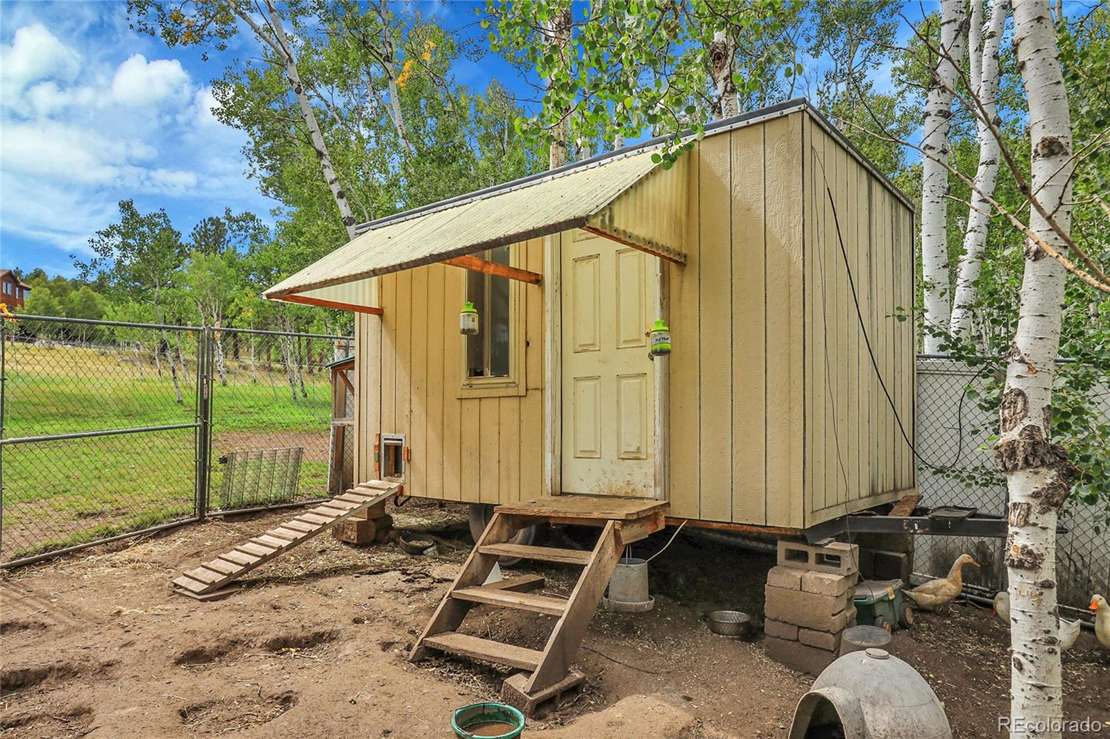 331 Bluebird Lane Bailey, CO 80421 - Photo 11 of 49