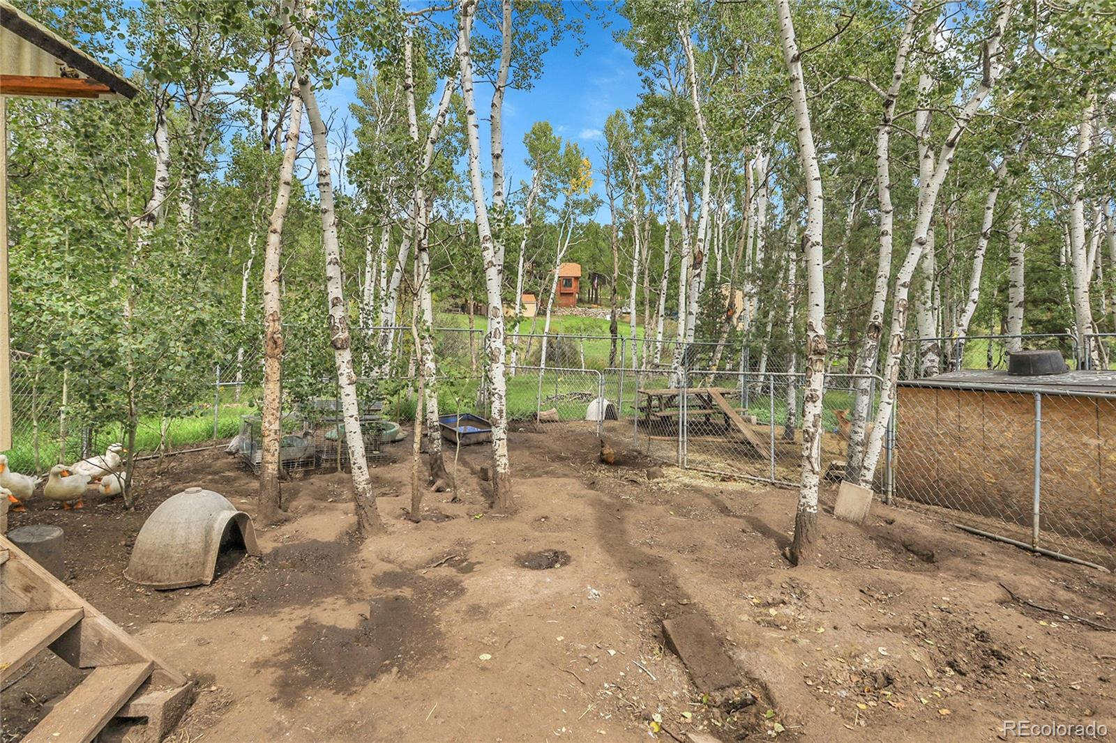 331 Bluebird Lane Bailey, CO 80421 - Photo 12 of 49