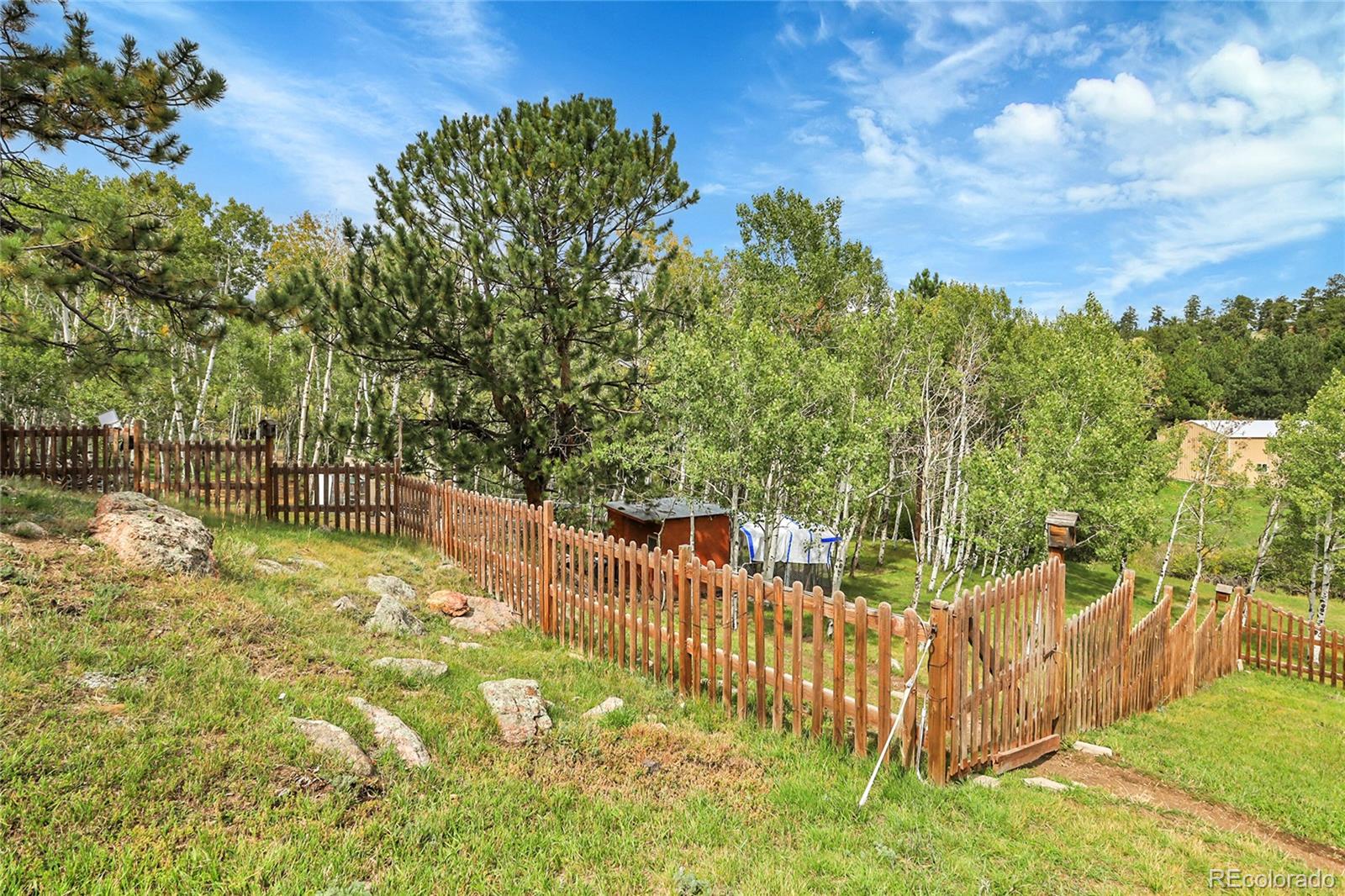 331 Bluebird Lane Bailey, CO 80421 - Photo 43 of 49