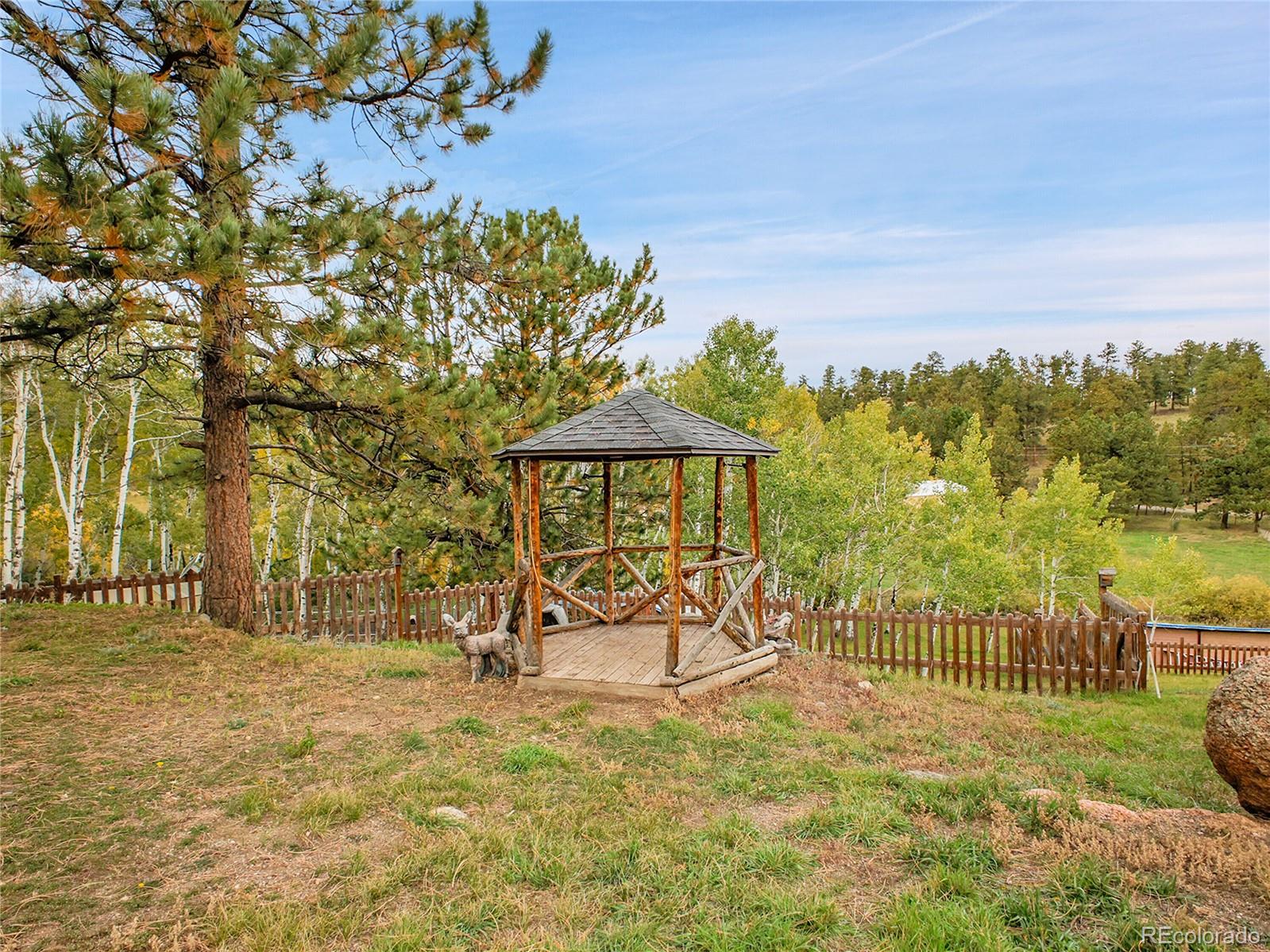 331 Bluebird Lane Bailey, CO 80421 - Photo 45 of 49