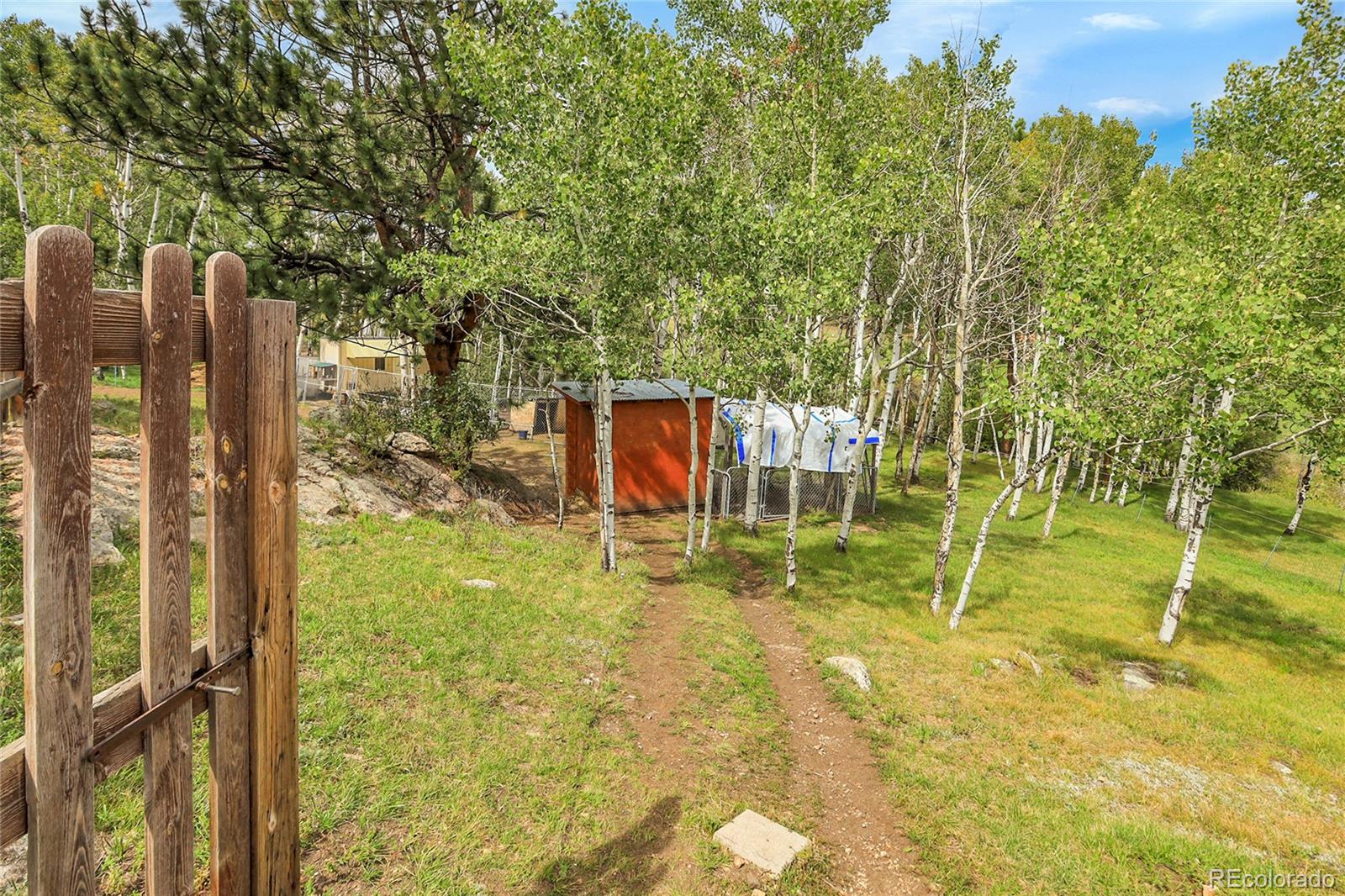 331 Bluebird Lane Bailey, CO 80421 - Photo 49 of 49