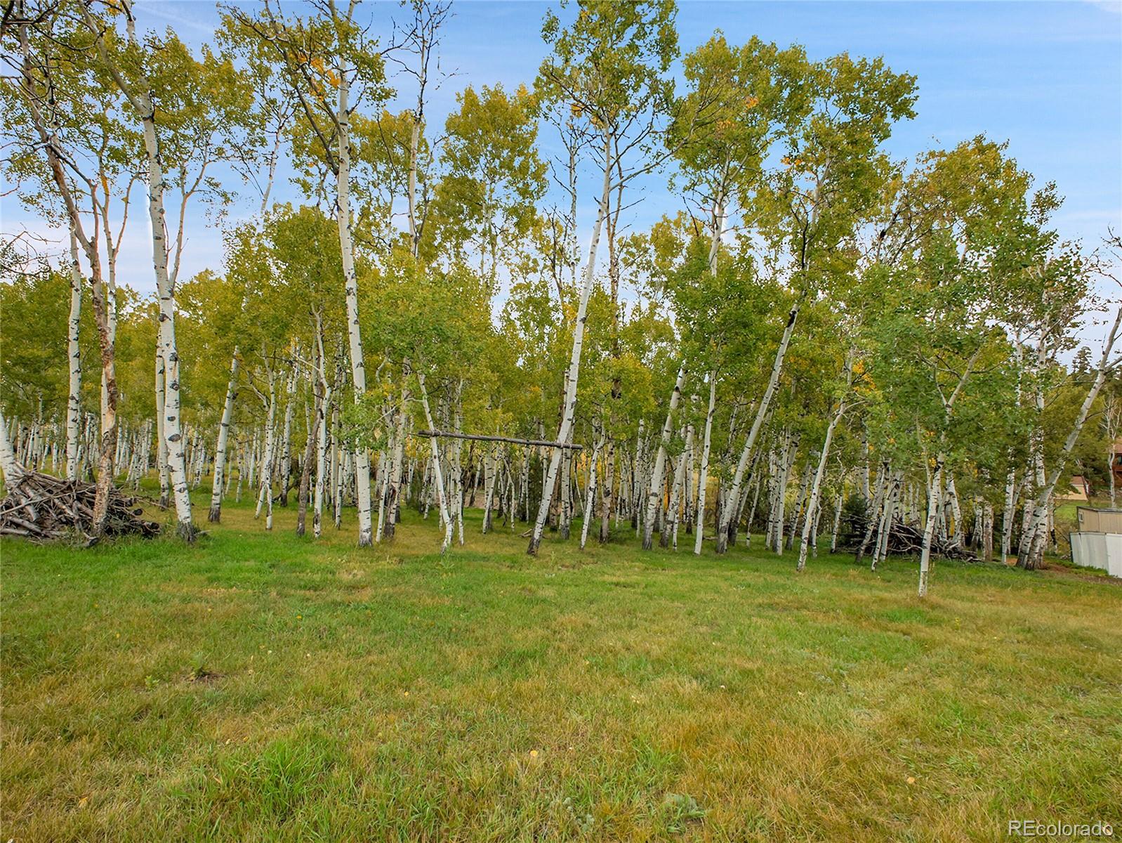 331 Bluebird Lane Bailey, CO 80421 - Photo 6 of 49