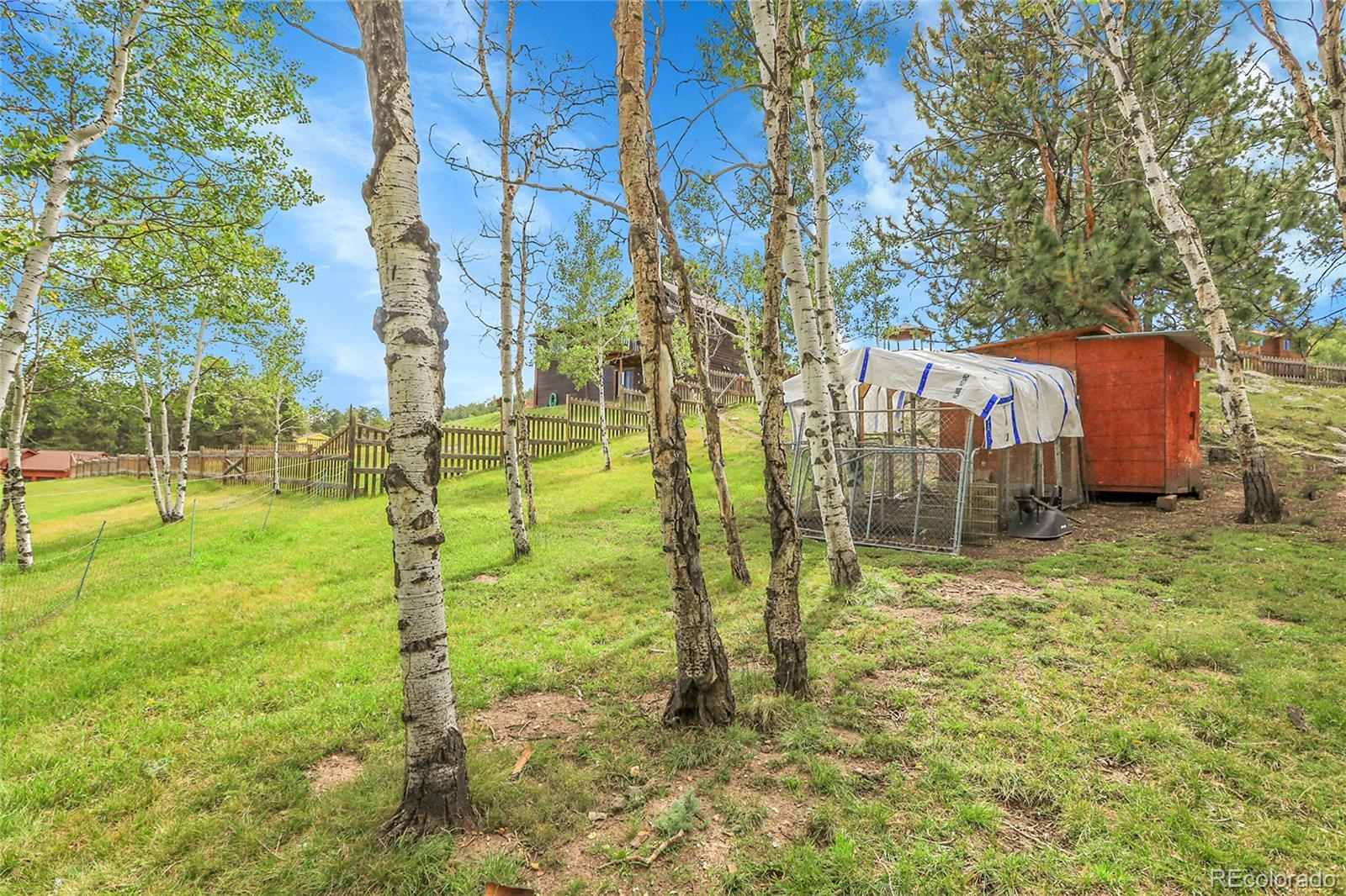 331 Bluebird Lane Bailey, CO 80421 - Photo 8 of 49