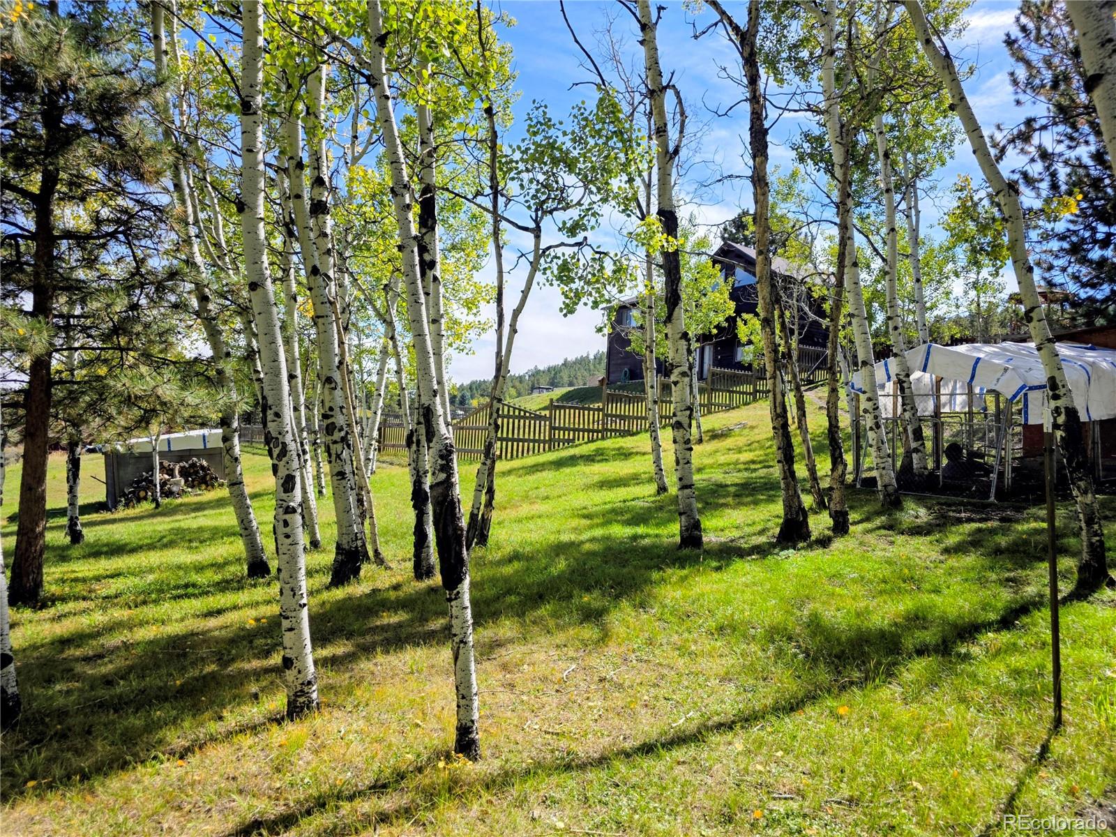 331 Bluebird Lane Bailey, CO 80421 - Photo 9 of 49