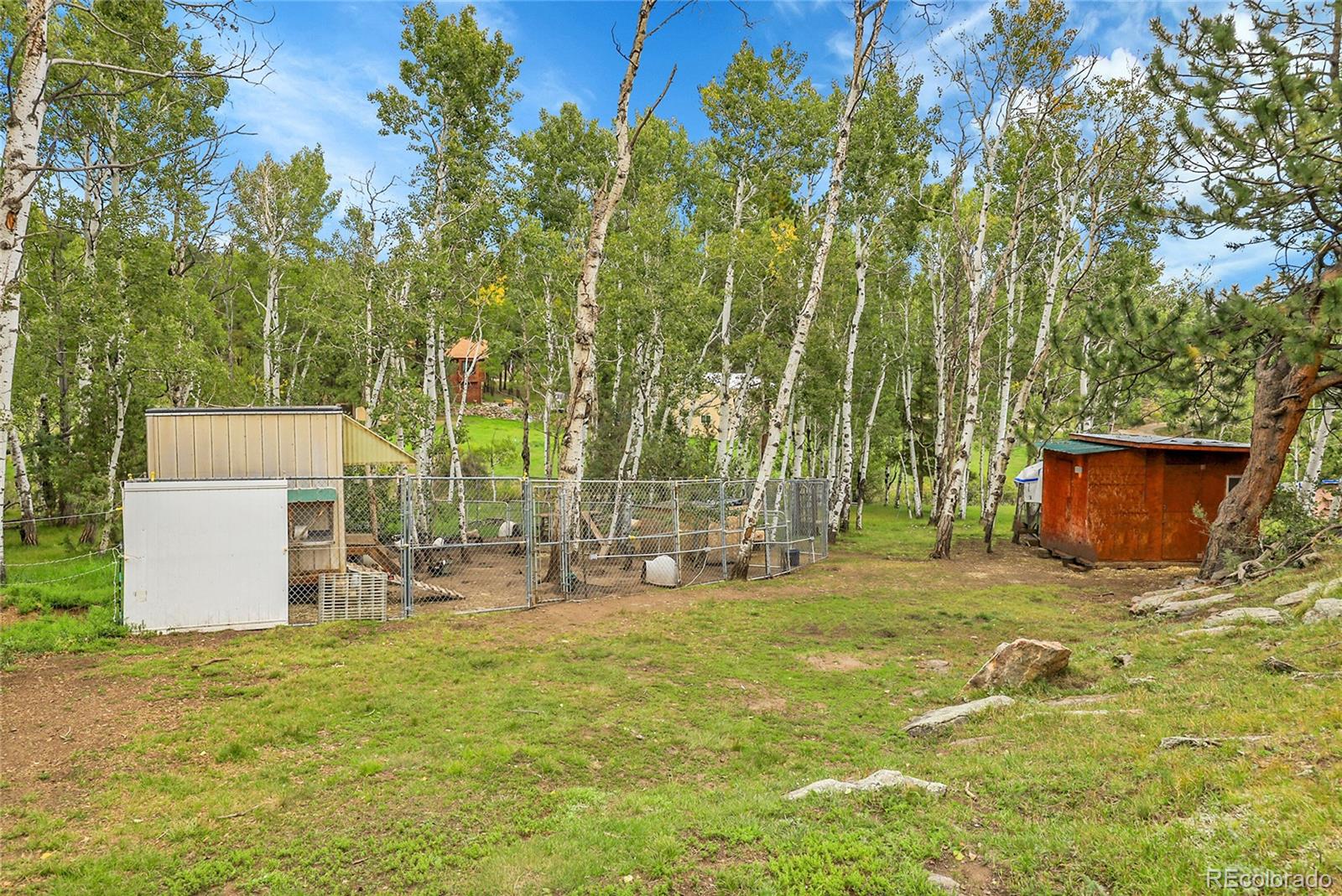 331 Bluebird Lane Bailey, CO 80421 - Photo 10 of 49