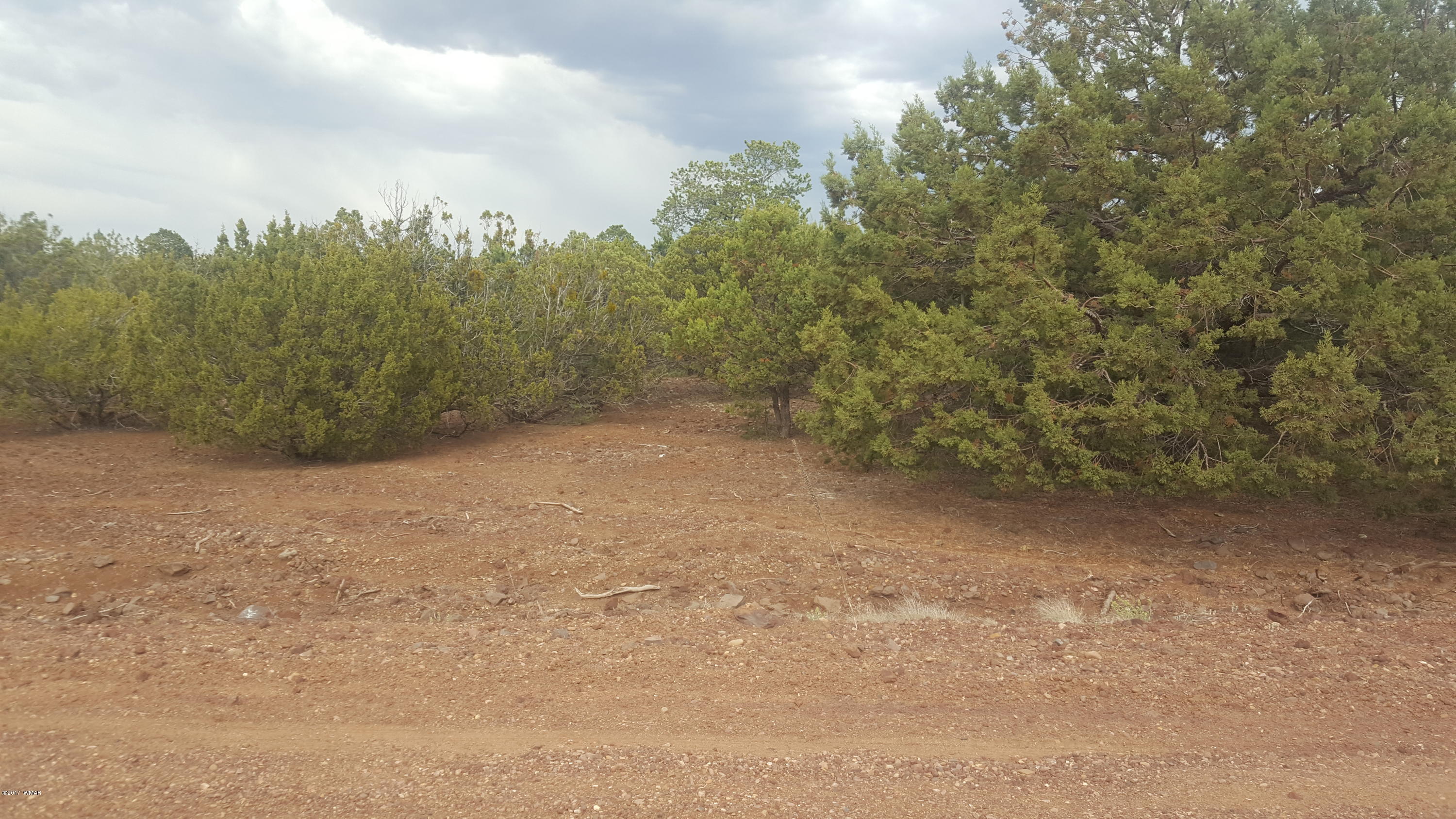 44 Mountain Pine Road Concho, AZ 85924 - Photo 4 of 13