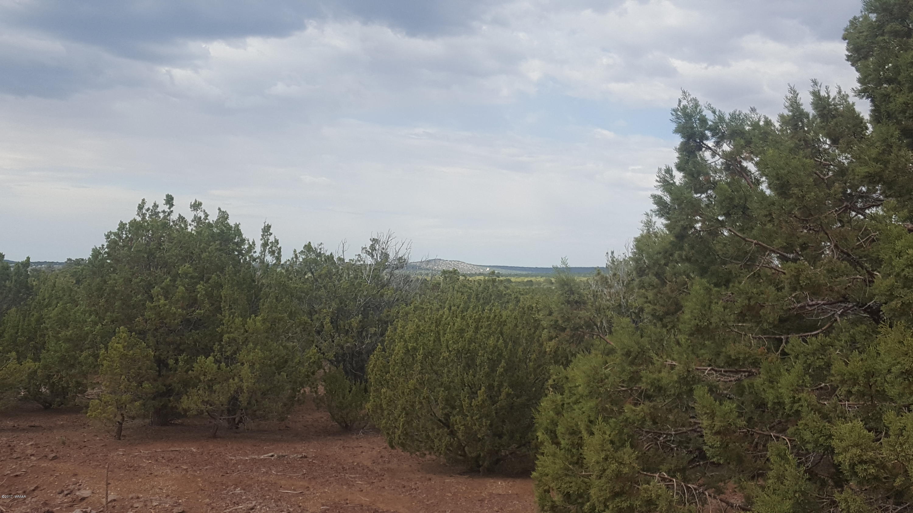 44 Mountain Pine Road Concho, AZ 85924 - Photo 5 of 13