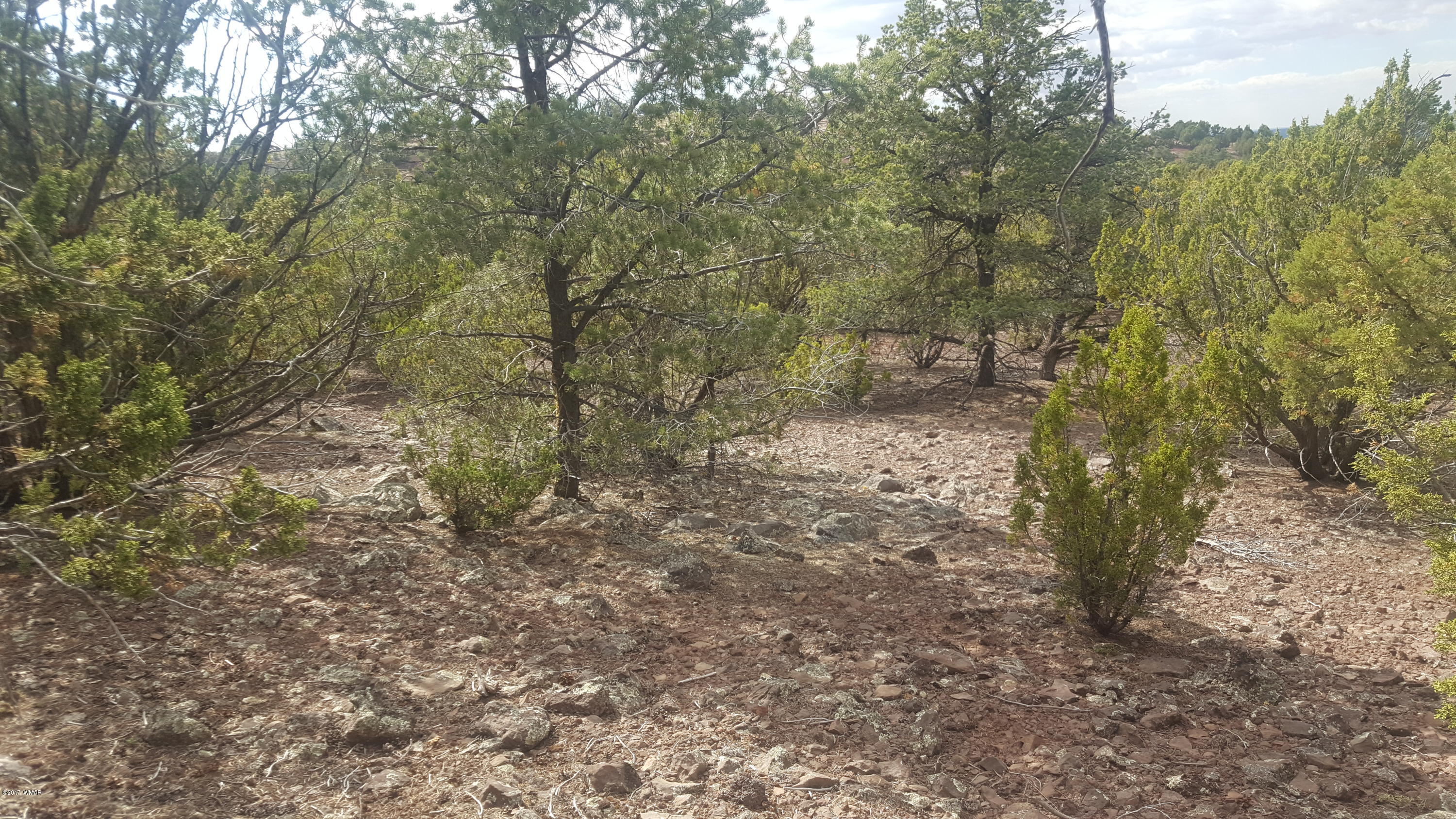 44 Mountain Pine Road Concho, AZ 85924 - Photo 6 of 13