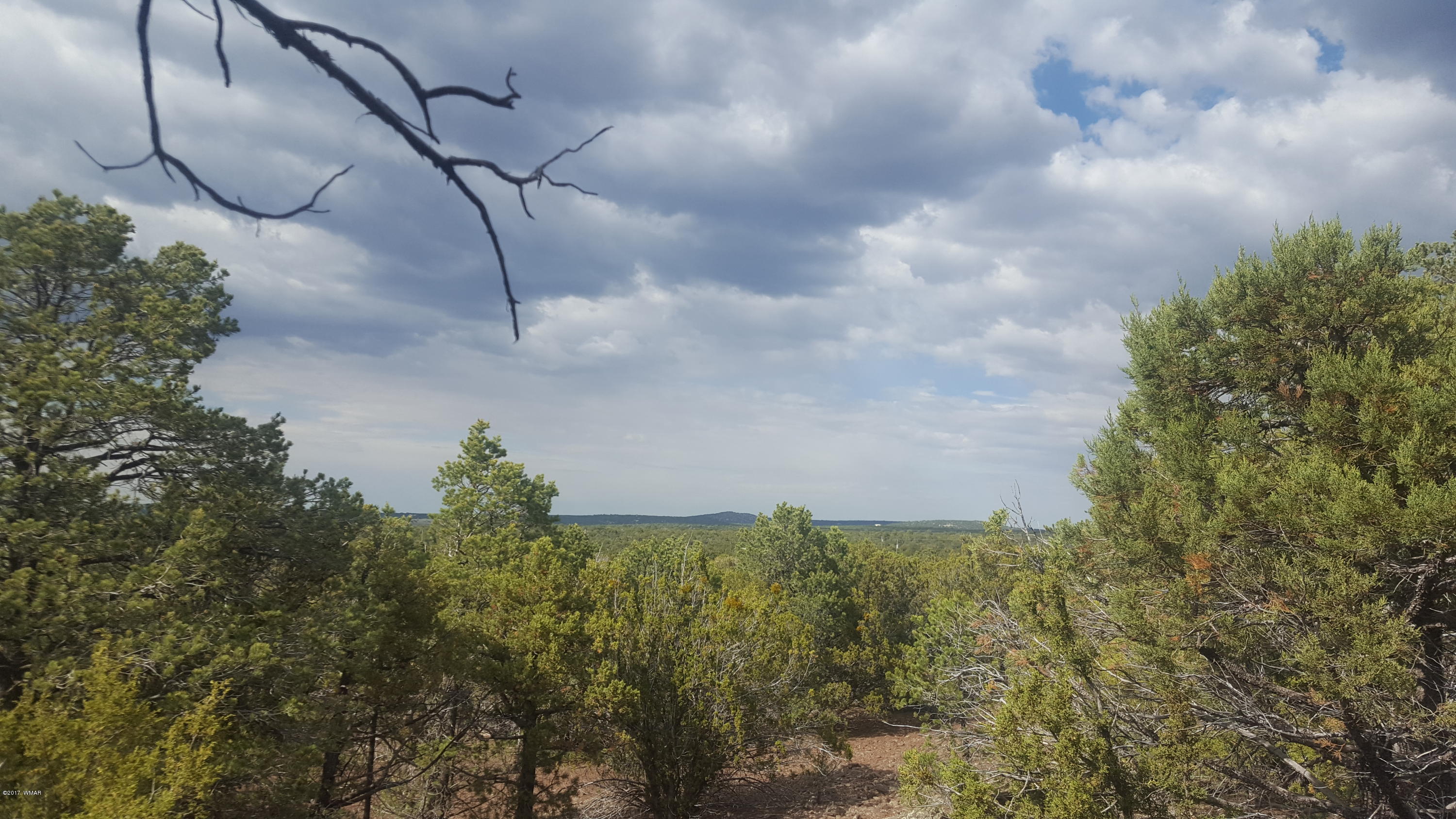 44 Mountain Pine Road Concho, AZ 85924 - Photo 7 of 13