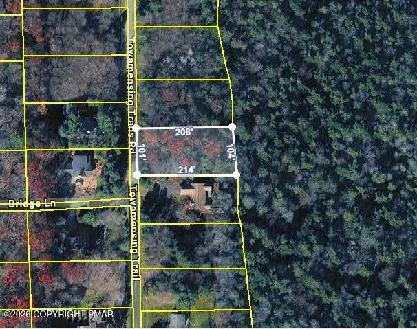 a room with wooden floor and a potted plant