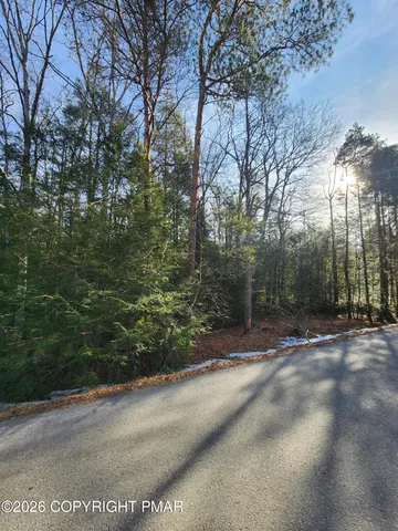a view of a yard with a trees