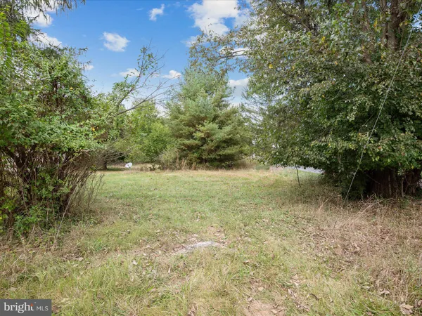 a view of outdoor space with trees all around