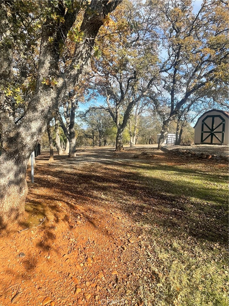 19035 Bonita Road Red Bluff, CA 96080 - Photo 44 of 47