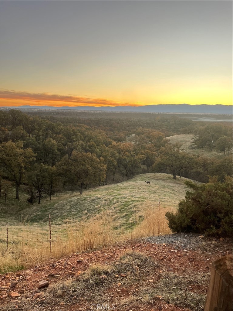 19035 Bonita Road Red Bluff, CA 96080 - Photo 46 of 47