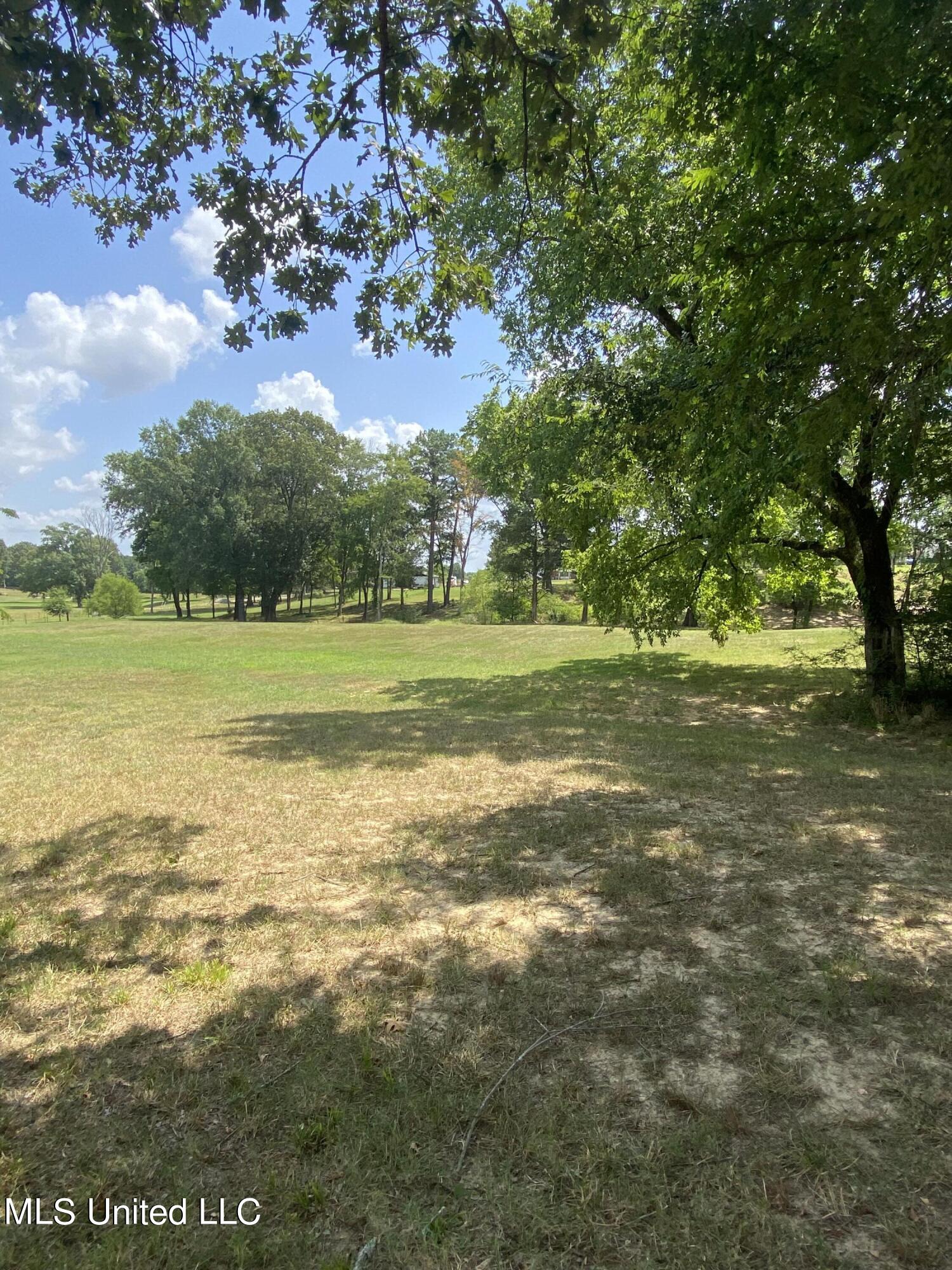 0 Hunters Walk Hernando, MS 38632 - Photo 11 of 21 2024-07-15 11.34.24