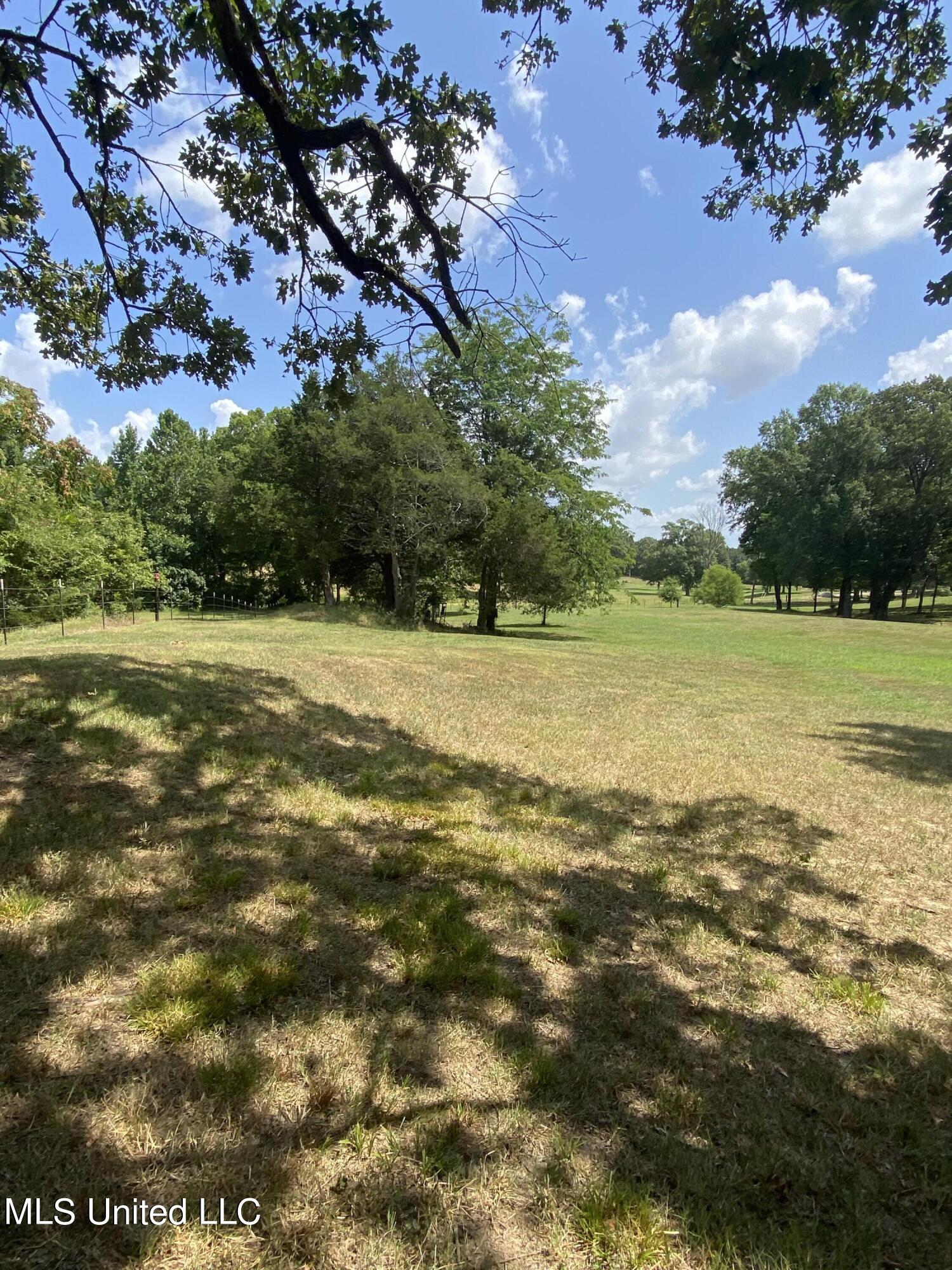 0 Hunters Walk Hernando, MS 38632 - Photo 12 of 21 2024-07-15 11.34.29
