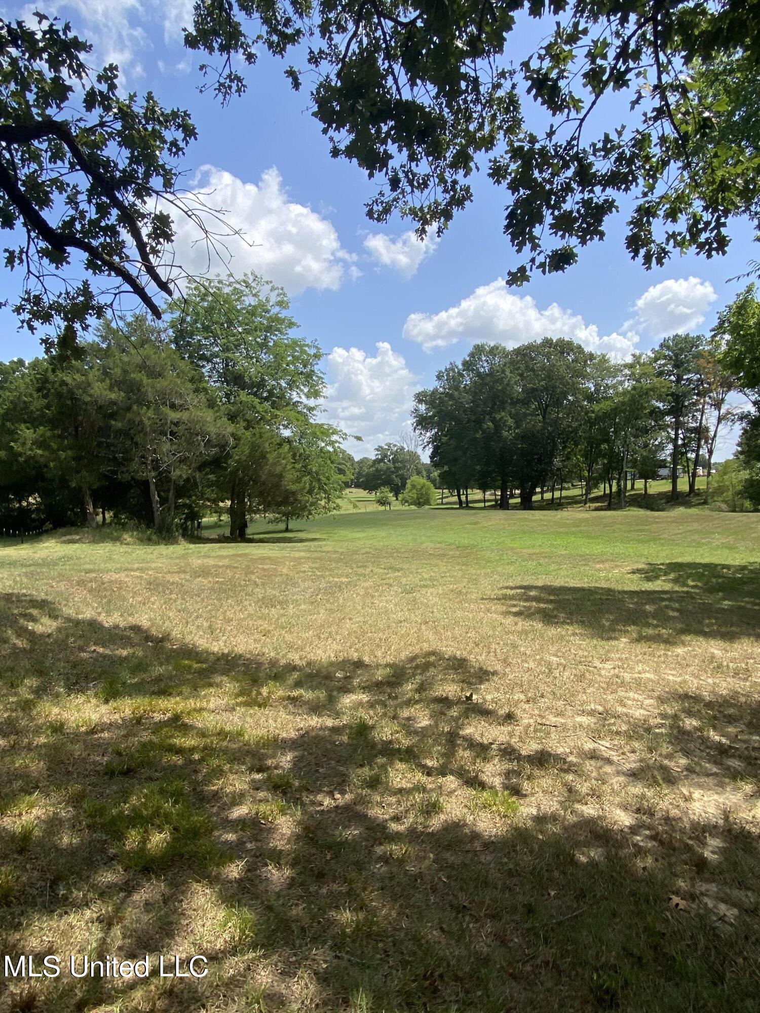 0 Hunters Walk Hernando, MS 38632 - Photo 13 of 21 2024-07-15 11.38.37
