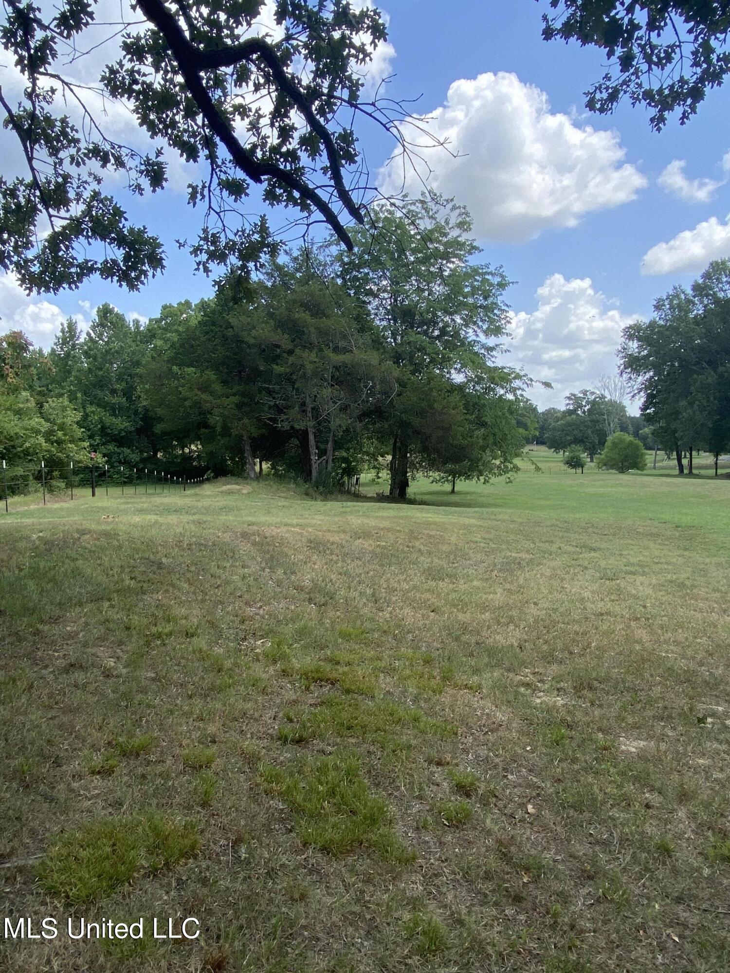 0 Hunters Walk Hernando, MS 38632 - Photo 14 of 21 2024-07-15 11.40.36