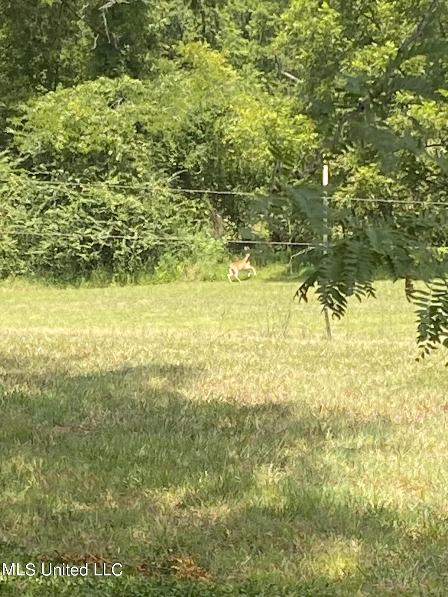 0 Hunters Walk Hernando, MS 38632 - Photo 16 of 21 2024-07-15 11.44.20