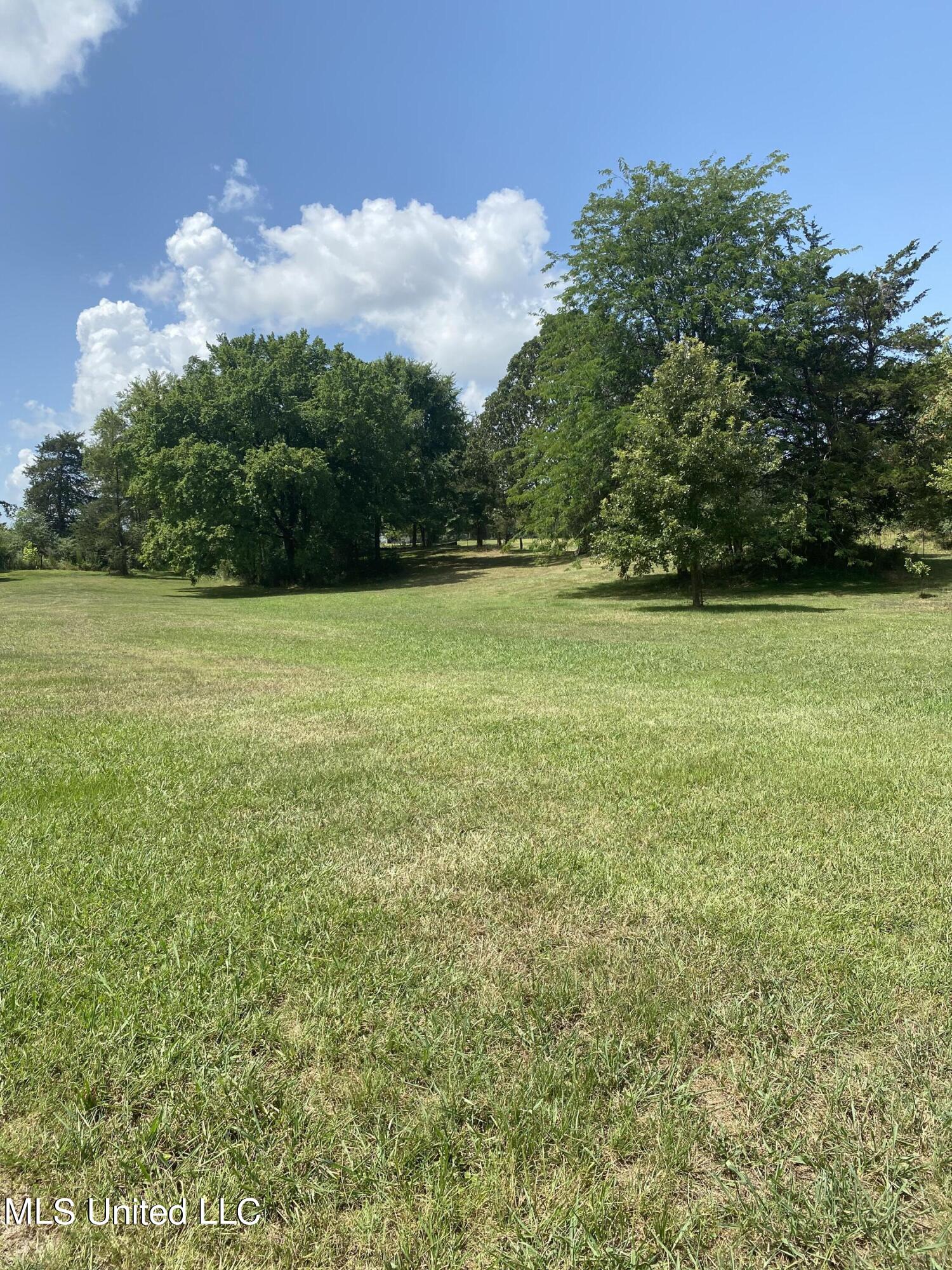 0 Hunters Walk Hernando, MS 38632 - Photo 17 of 21 2024-07-15 11.45.49