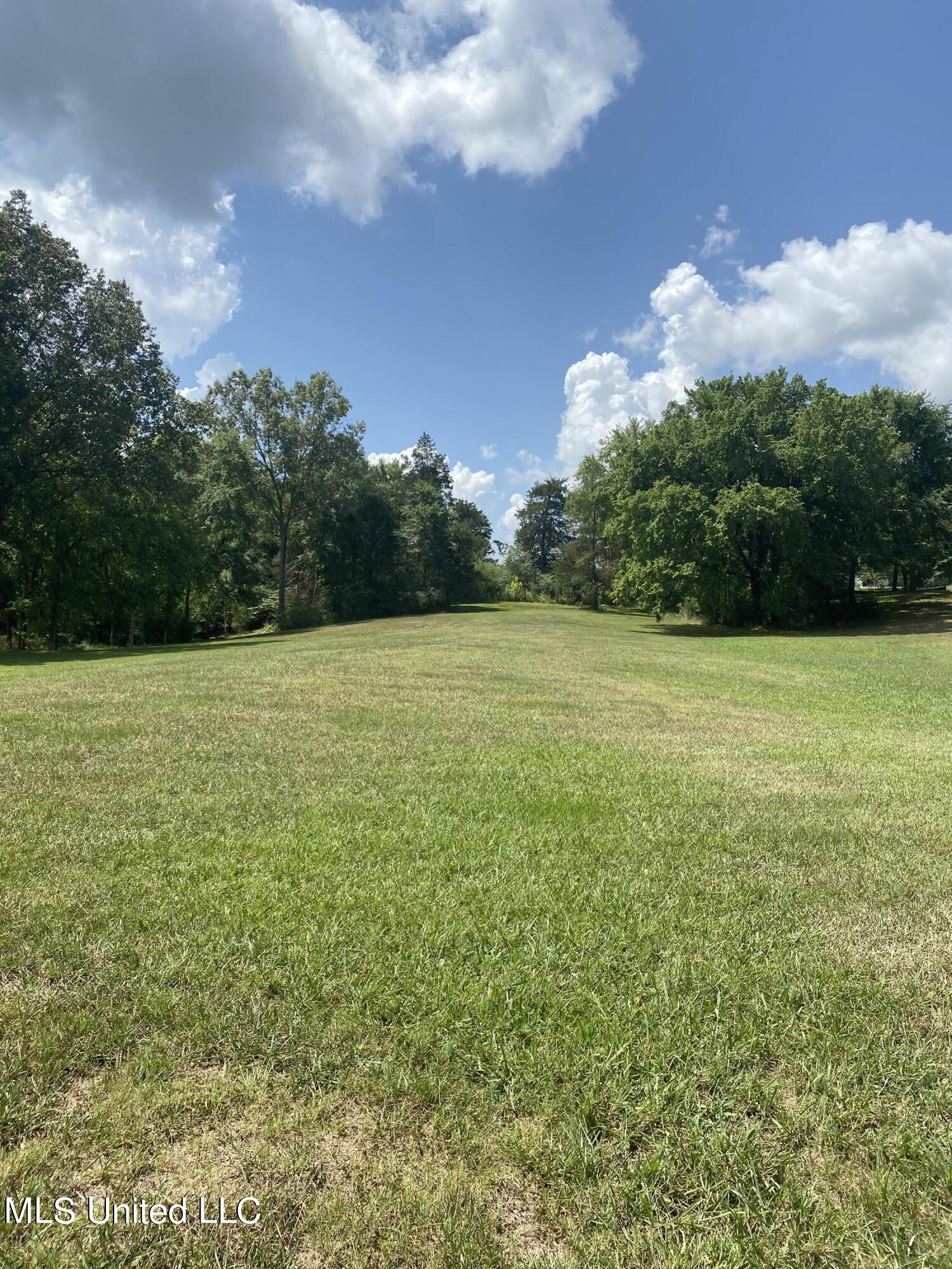 0 Hunters Walk Hernando, MS 38632 - Photo 18 of 21 2024-07-15 11.45.51