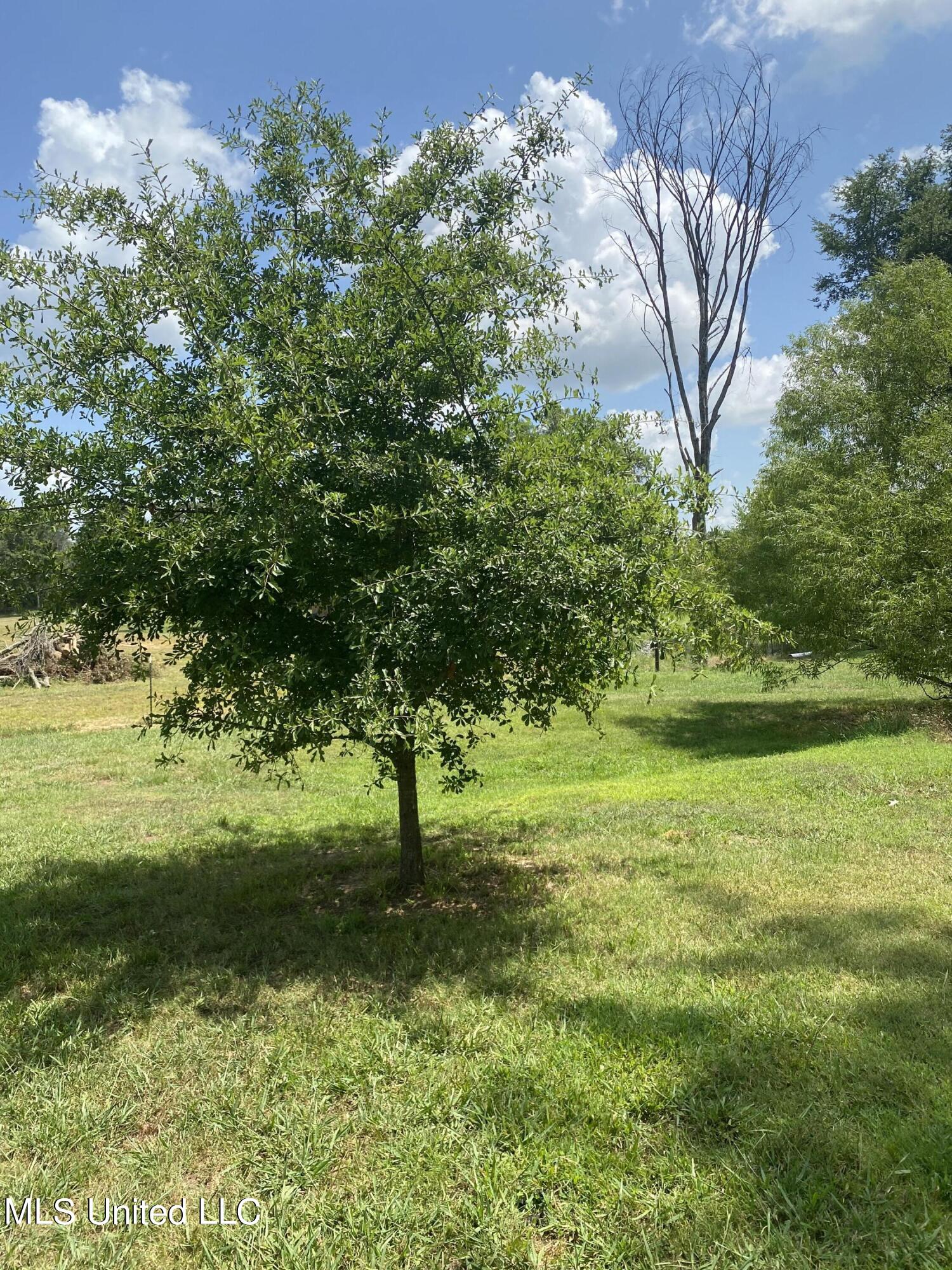 0 Hunters Walk Hernando, MS 38632 - Photo 20 of 21 2024-07-15 11.46.59