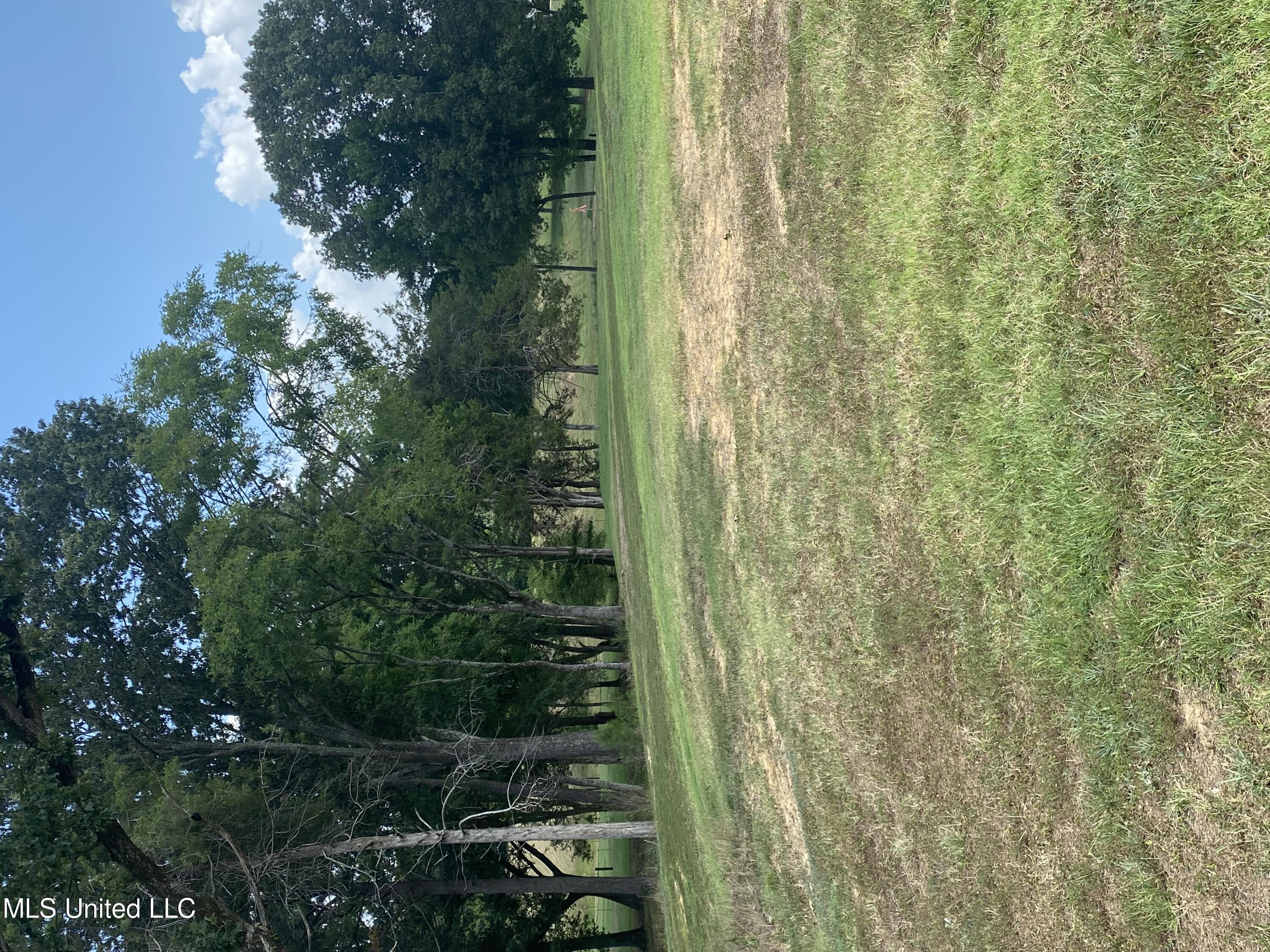 0 Hunters Walk Hernando, MS 38632 - Photo 2 of 21 LAND