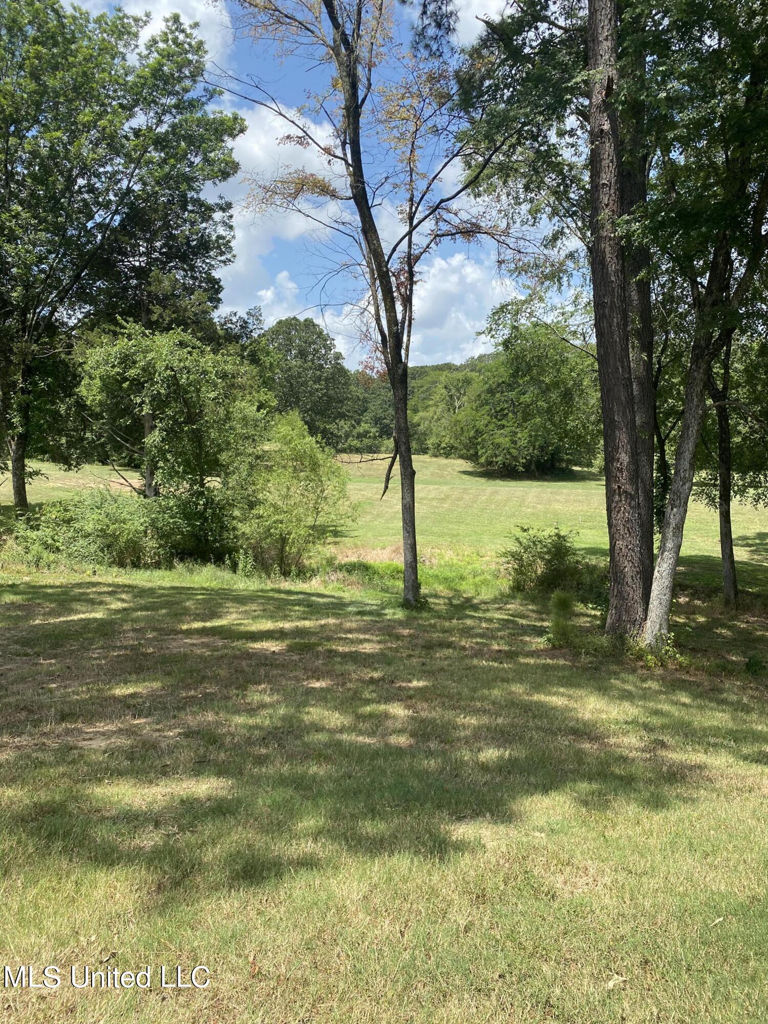 0 Hunters Walk Hernando, MS 38632 - Photo 21 of 21 2024-07-15 11.53.52