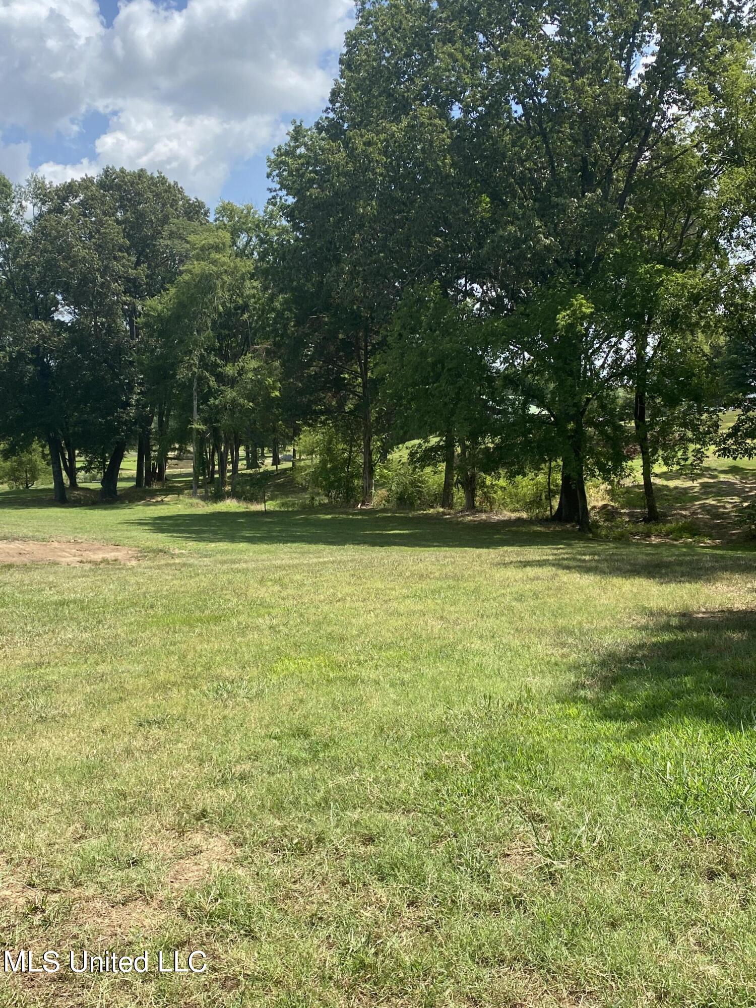 0 Hunters Walk Hernando, MS 38632 - Photo 3 of 21 2024-07-15 11.31.00