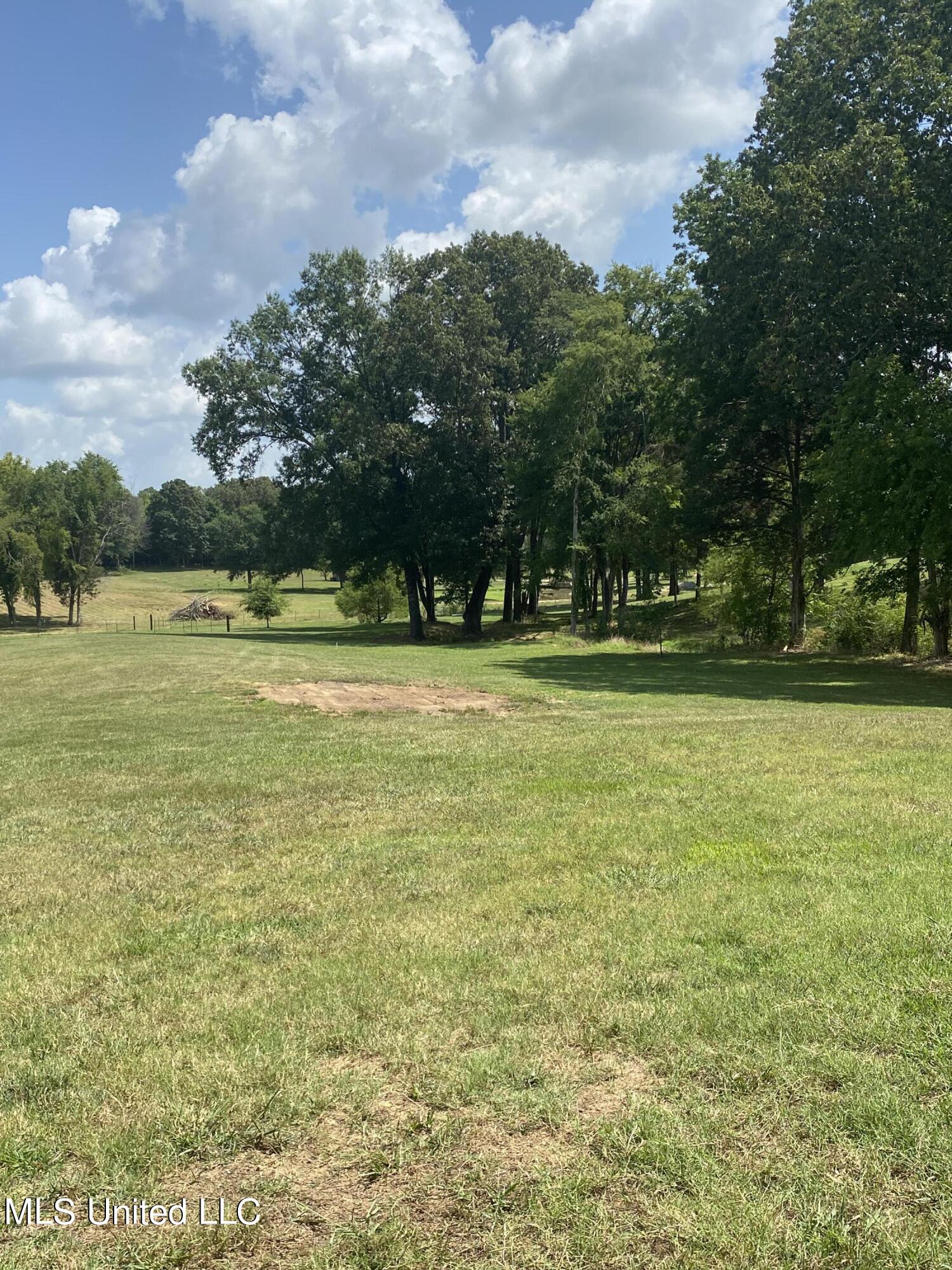 0 Hunters Walk Hernando, MS 38632 - Photo 4 of 21 2024-07-15 11.31.01