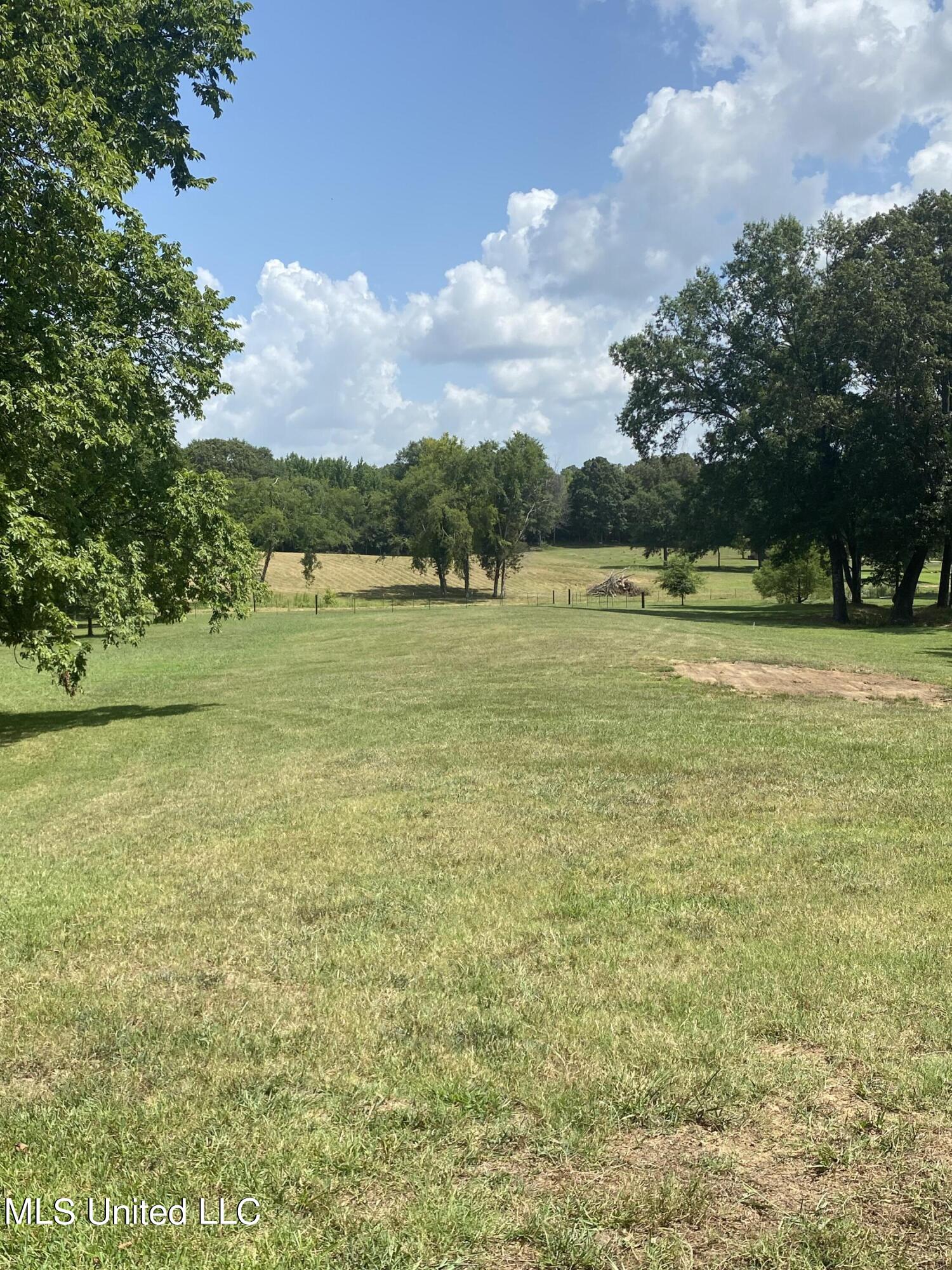0 Hunters Walk Hernando, MS 38632 - Photo 5 of 21 2024-07-15 11.31.04