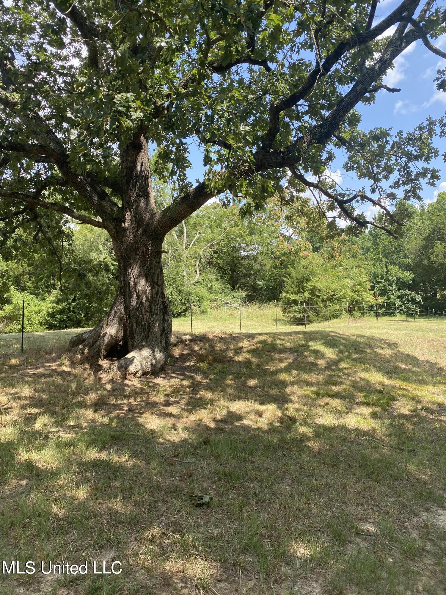 0 Hunters Walk Hernando, MS 38632 - Photo 7 of 21 2024-07-15 11.33.48