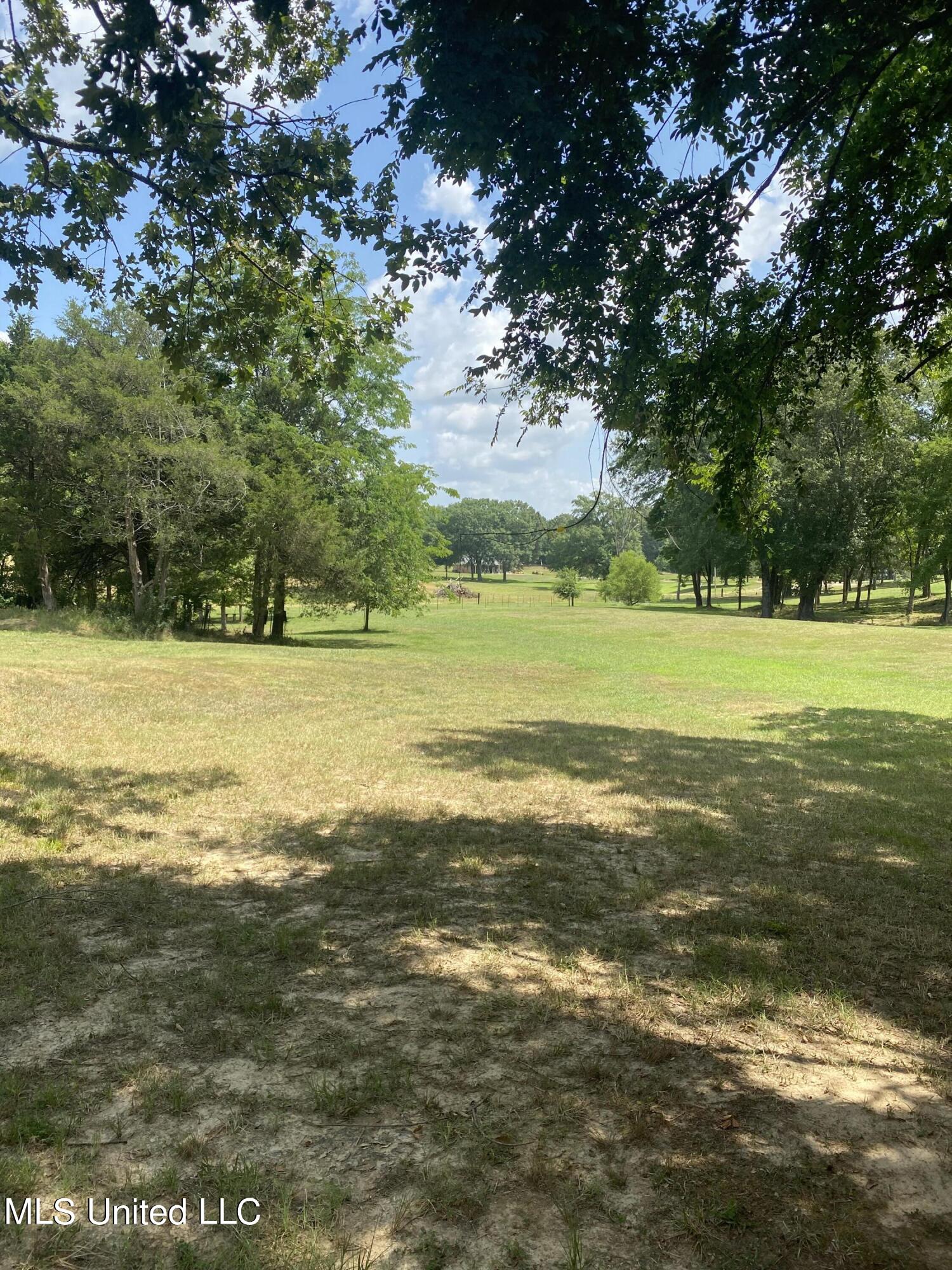 0 Hunters Walk Hernando, MS 38632 - Photo 8 of 21 2024-07-15 11.33.54