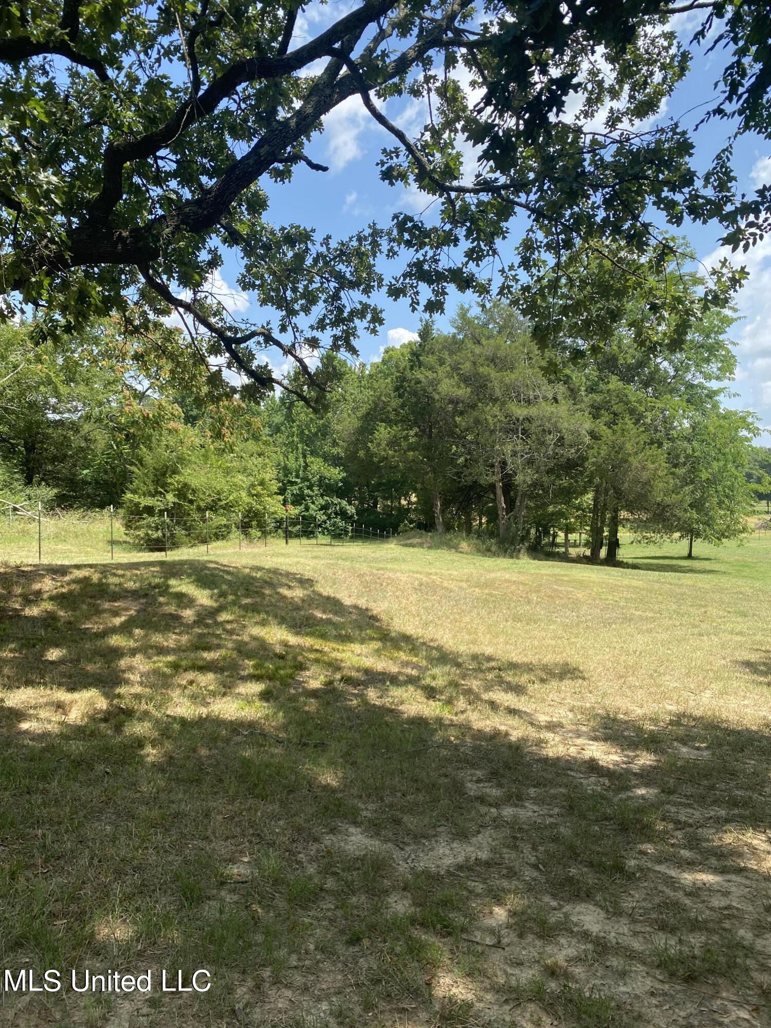 0 Hunters Walk Hernando, MS 38632 - Photo 9 of 21 2024-07-15 11.34.01