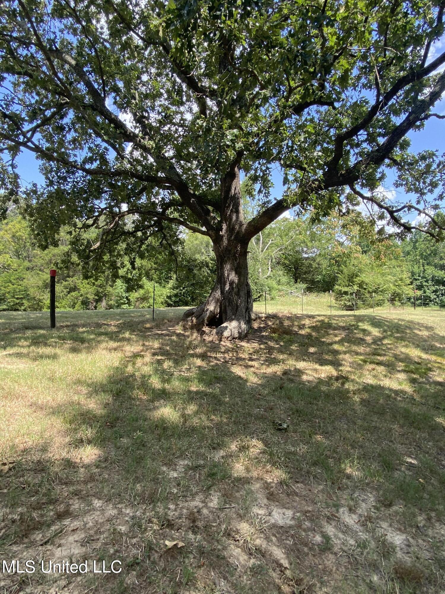 0 Hunters Walk Hernando, MS 38632 - Photo 10 of 21 2024-07-15 11.34.09