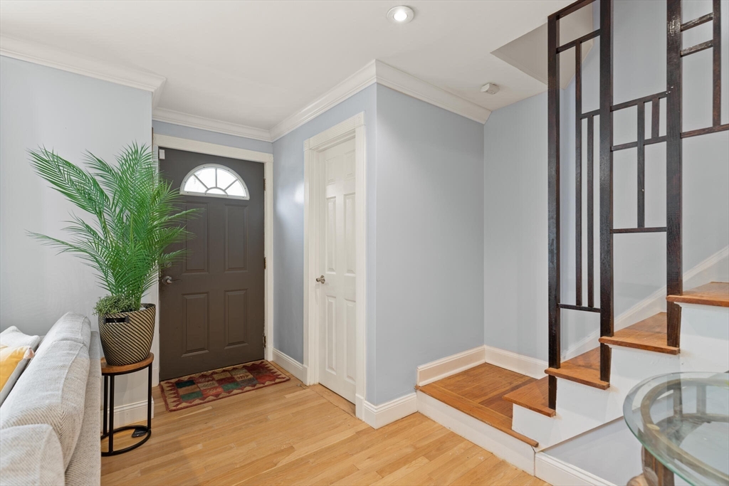 50 Thurston Road, Unit 50 Newton, MA 02464 - Photo 5 of 26 a very nice looking room with a potted plant