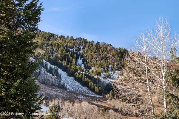$35,000 | 1024 East Cooper Avenue, Unit 1, Aspen, CO 81611