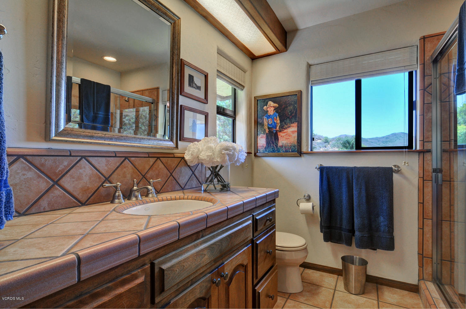 11226 Santa Rosa Camarillo, CA 93012 - Photo 50 of 99 SKY_47