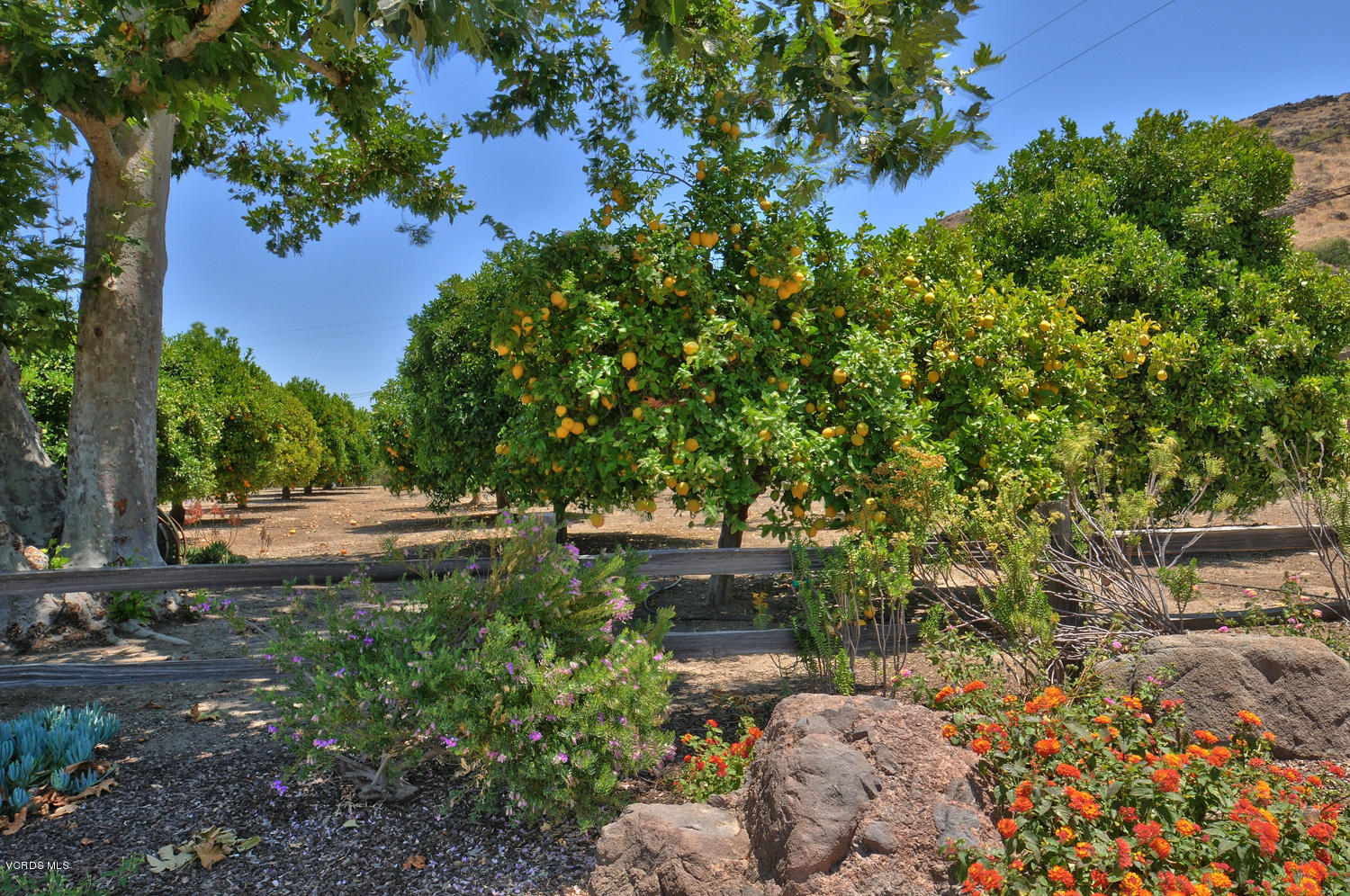11226 Santa Rosa Camarillo, CA 93012 - Photo 77 of 99 SKY_75