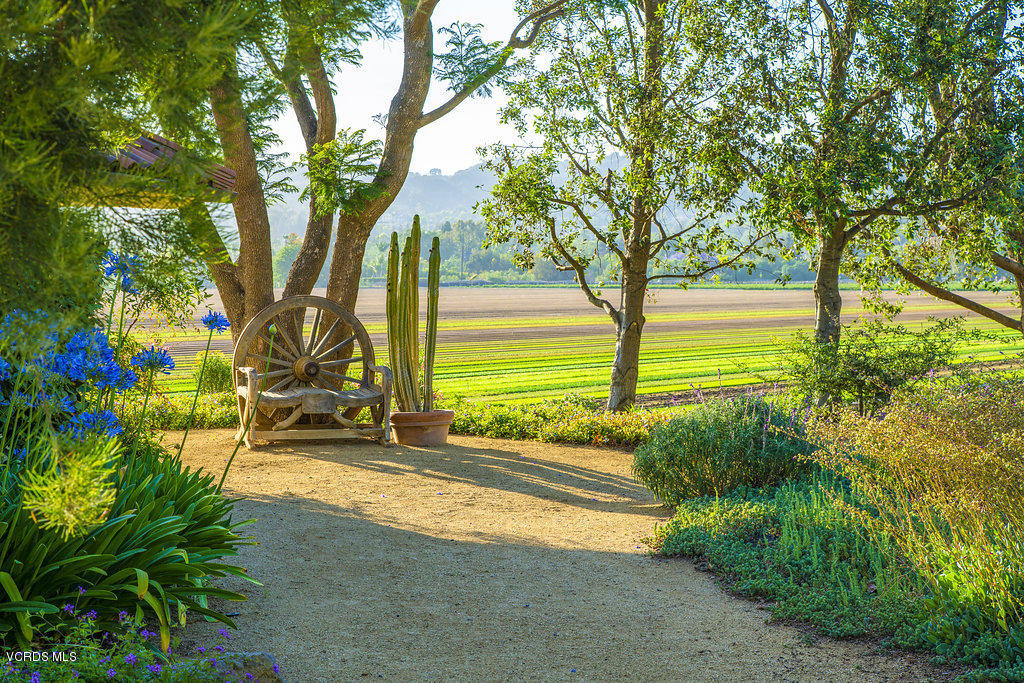 11226 Santa Rosa Camarillo, CA 93012 - Photo 83 of 99 DSC09927