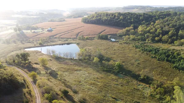a view of a dry yard with wooden floor