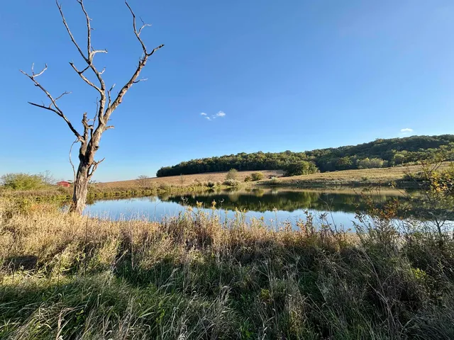 $560,000 | 57.83-acres West Menzemer Road, Elizabeth, IL 61028